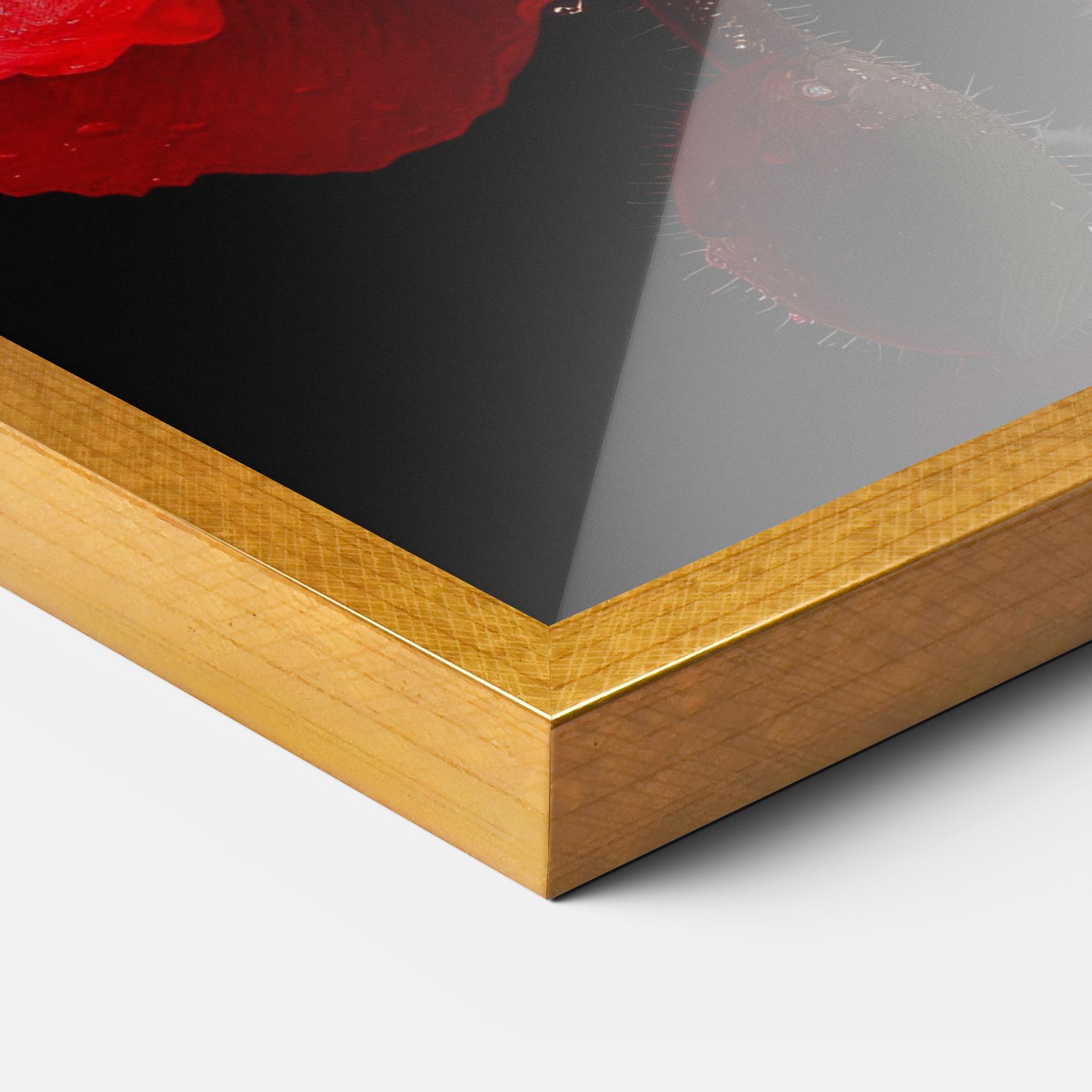 Gerahmte Poster Red Poppy mockup 3