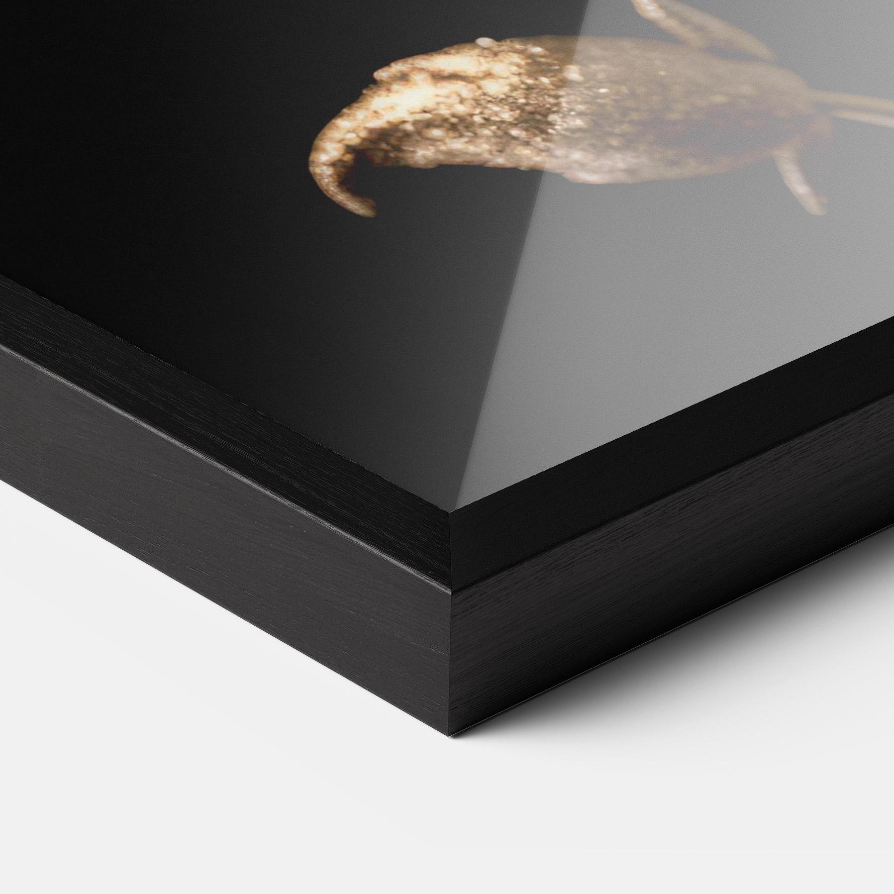 Gerahmte Poster Dark Red Poppy mockup 3