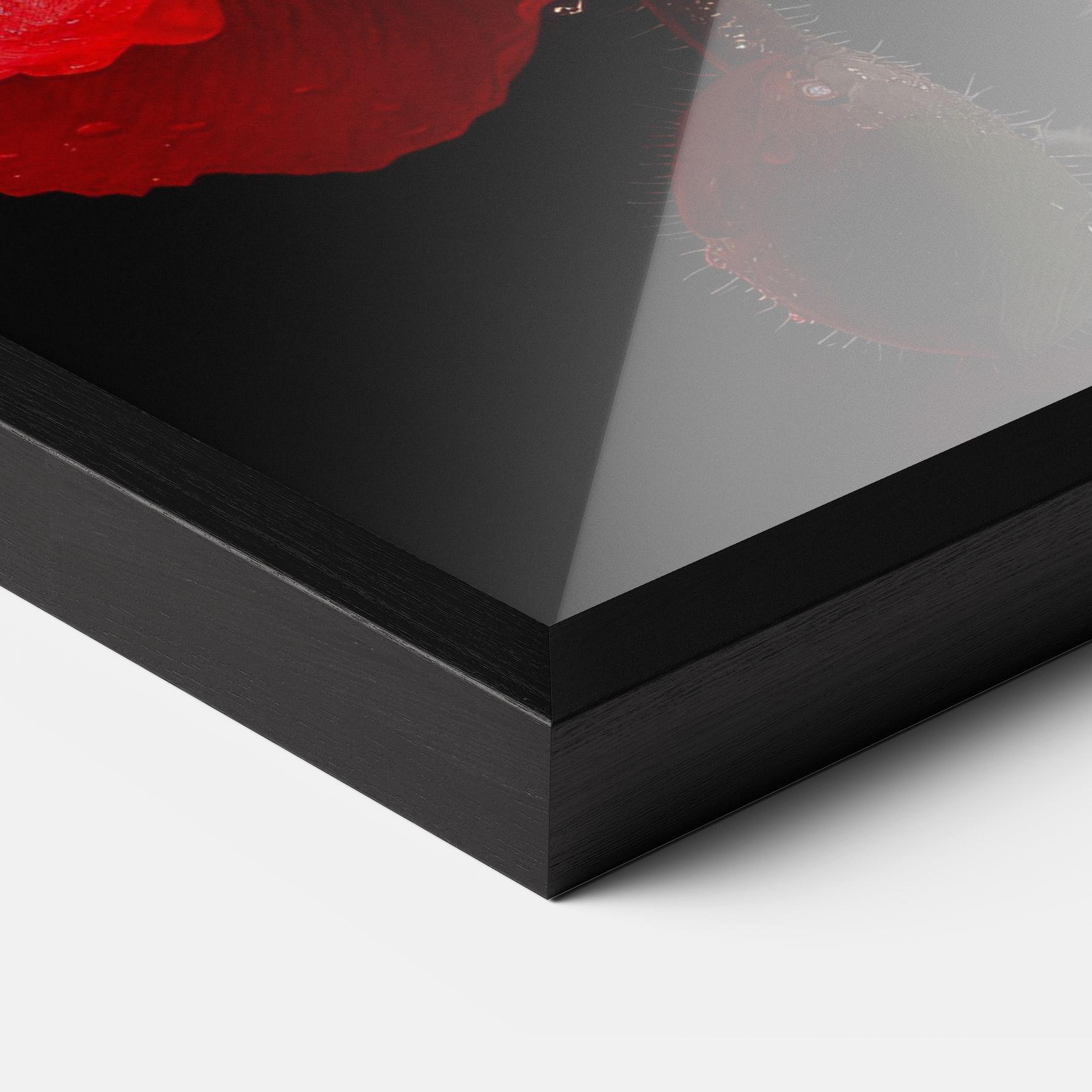 Gerahmte Poster Red Poppy mockup 3