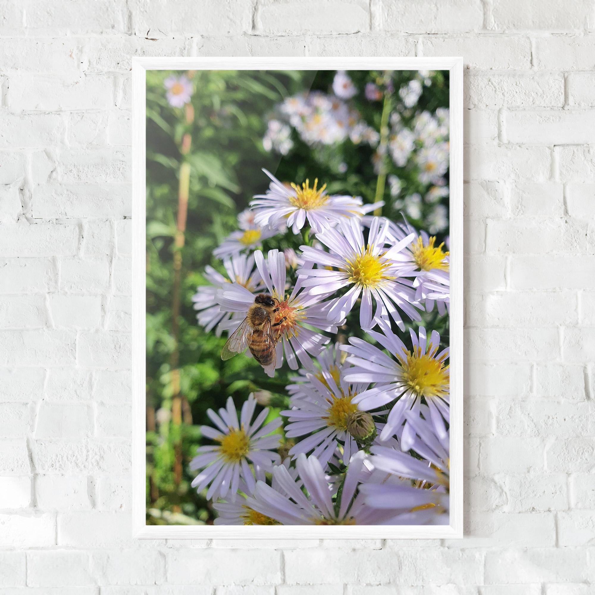 Gerahmte Poster Bee On Light Purple Daisy mockup 0
