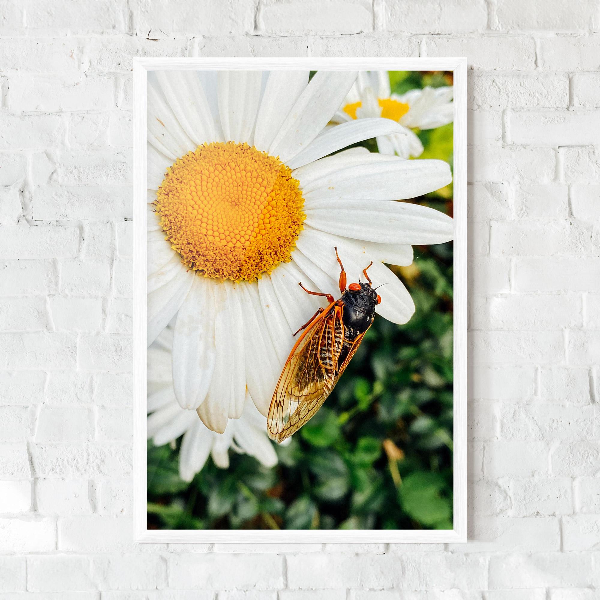 Gerahmte Poster Bug On The Daisy mockup 0