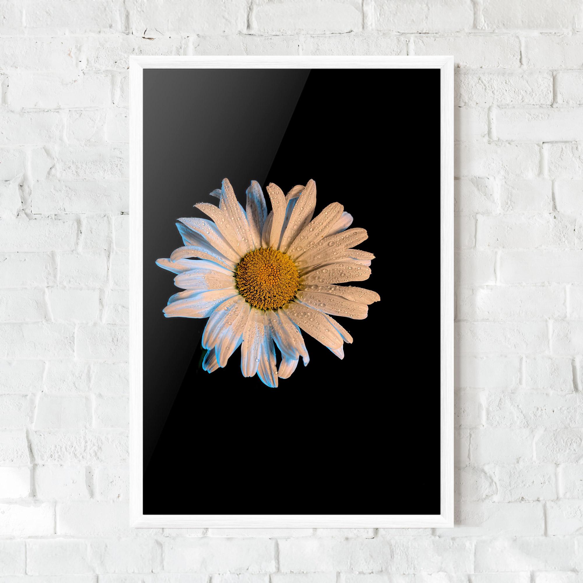 Gerahmte Poster Daisy mockup 0