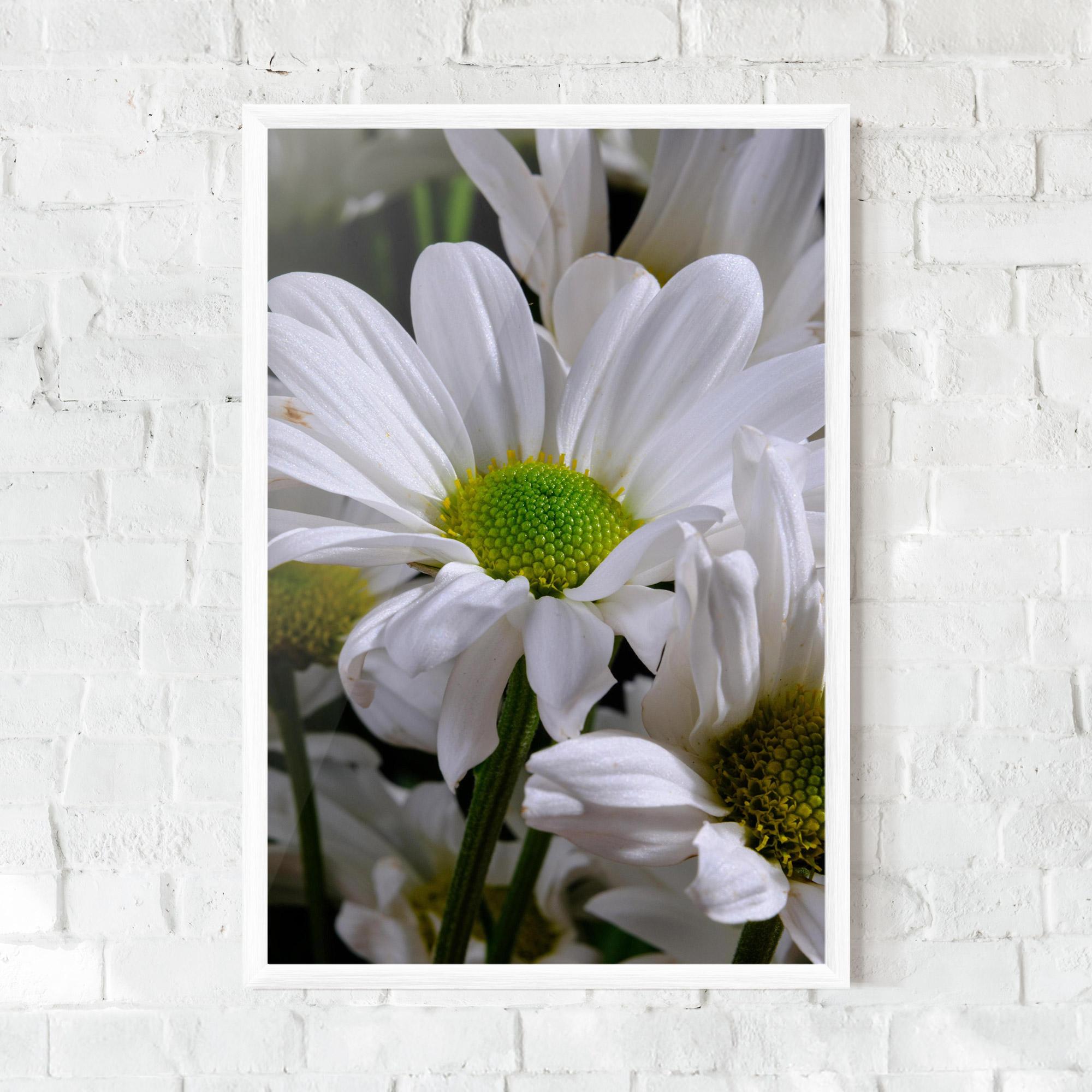 Gerahmte Poster Green Middle Daisy View mockup 0
