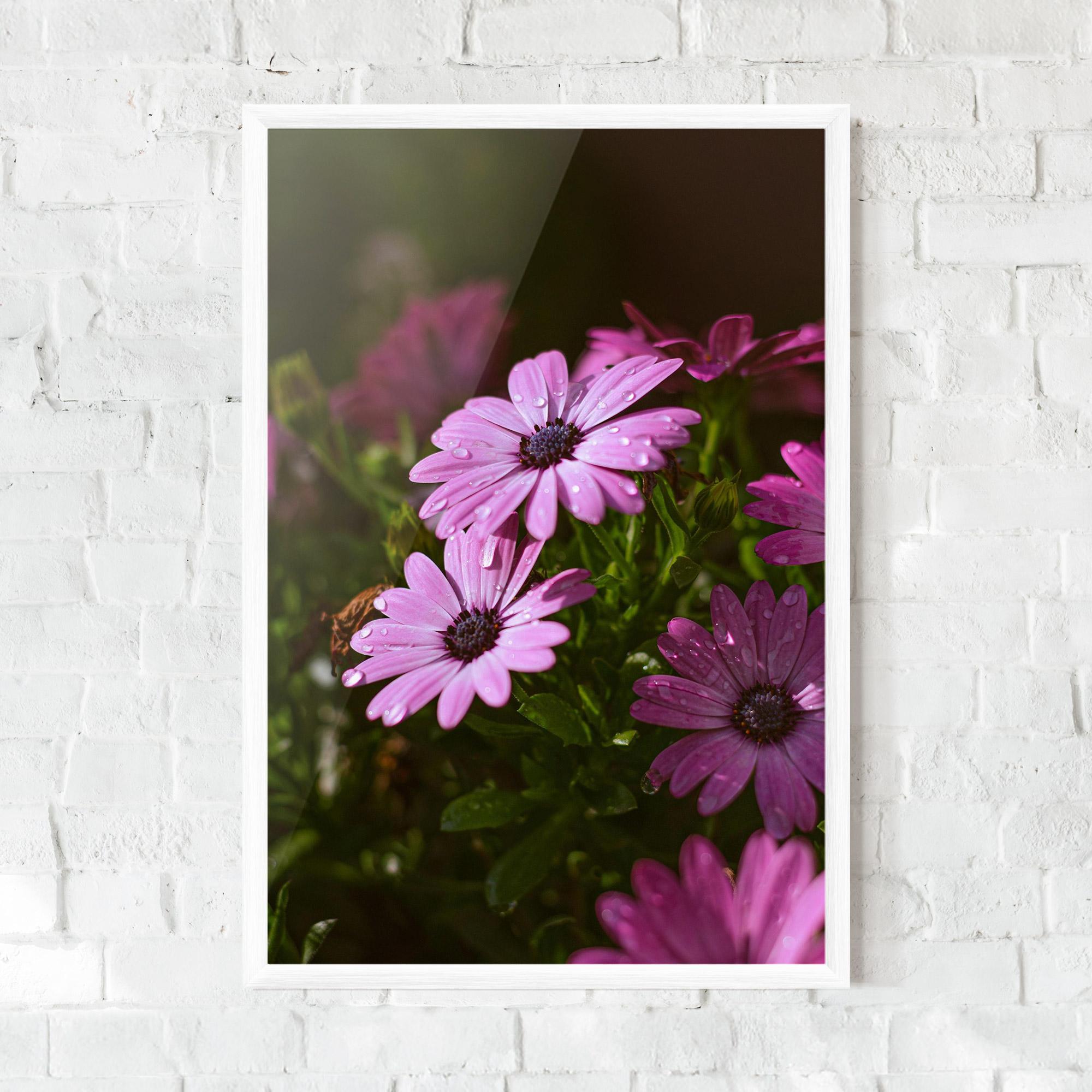 Gerahmte Poster Purple Daisy mockup 0