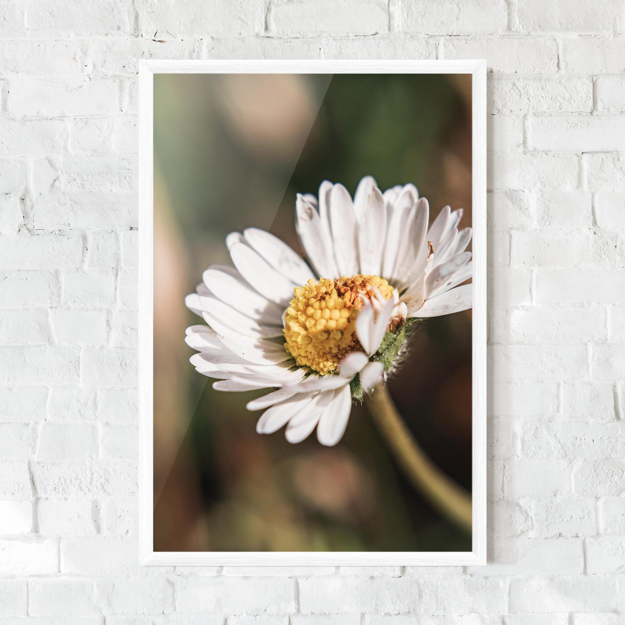 Gerahmte Poster Yellow Pastel Daisy mockup 0