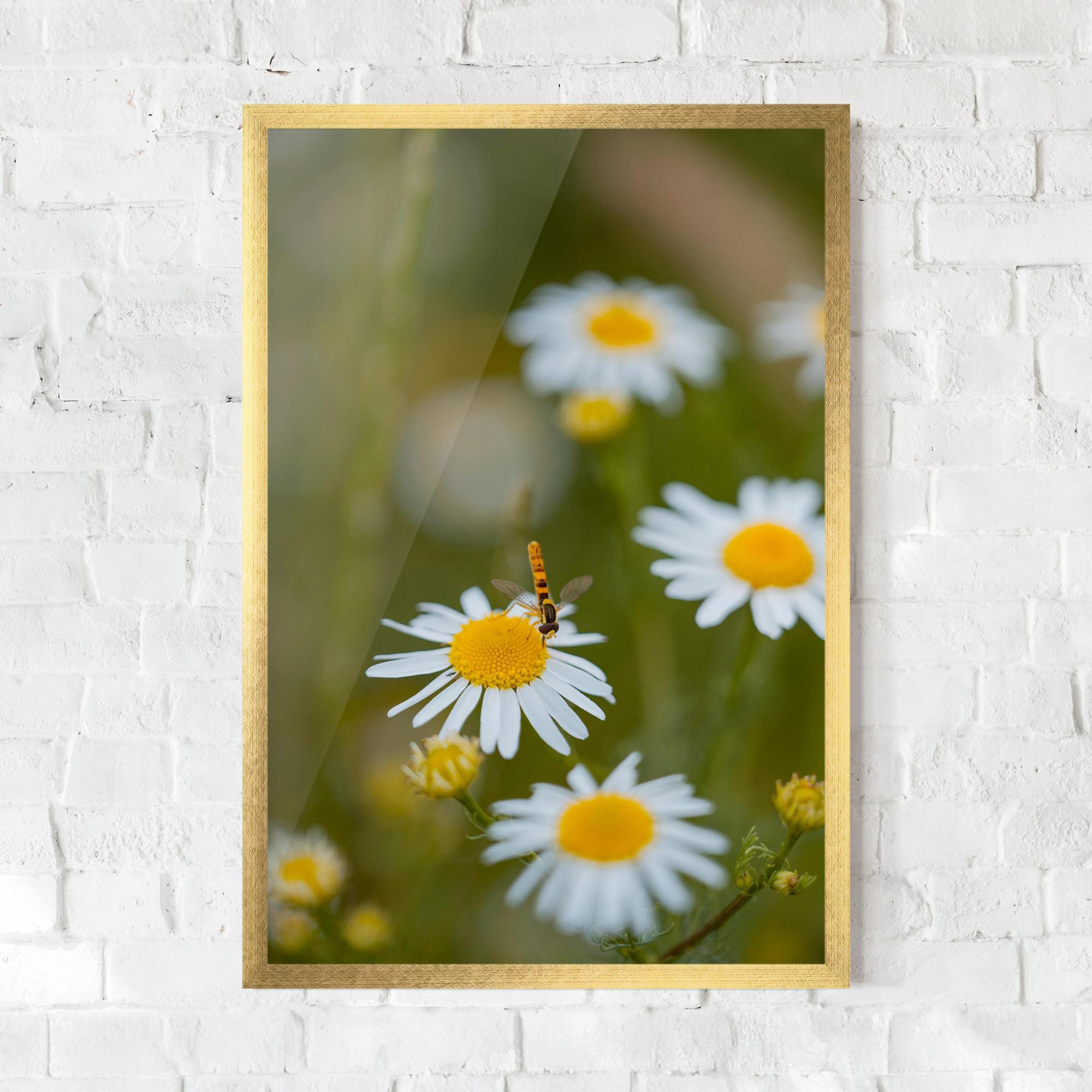 Gerahmte Poster Bug On Small Daisy mockup 0