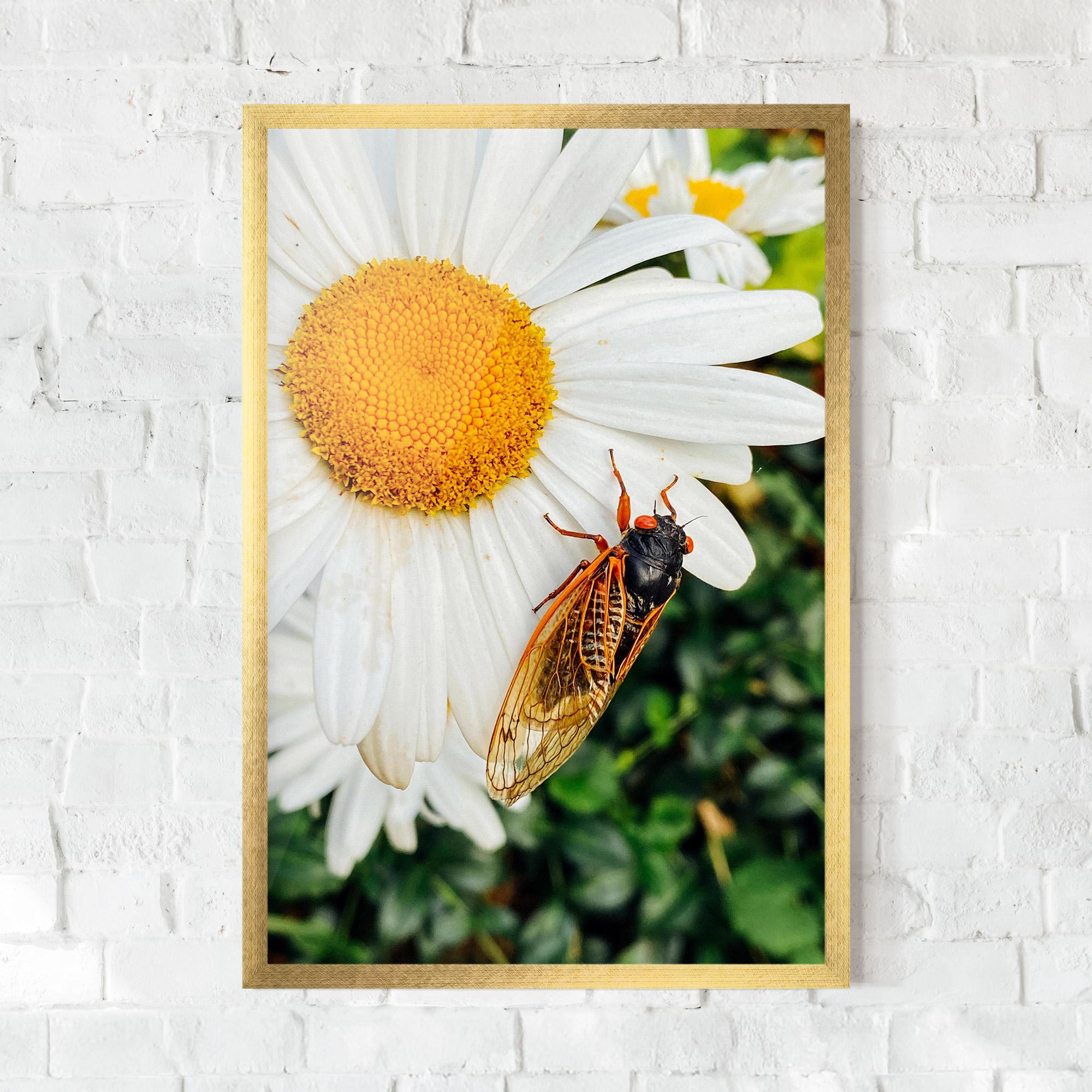 Gerahmte Poster Bug On The Daisy mockup 0