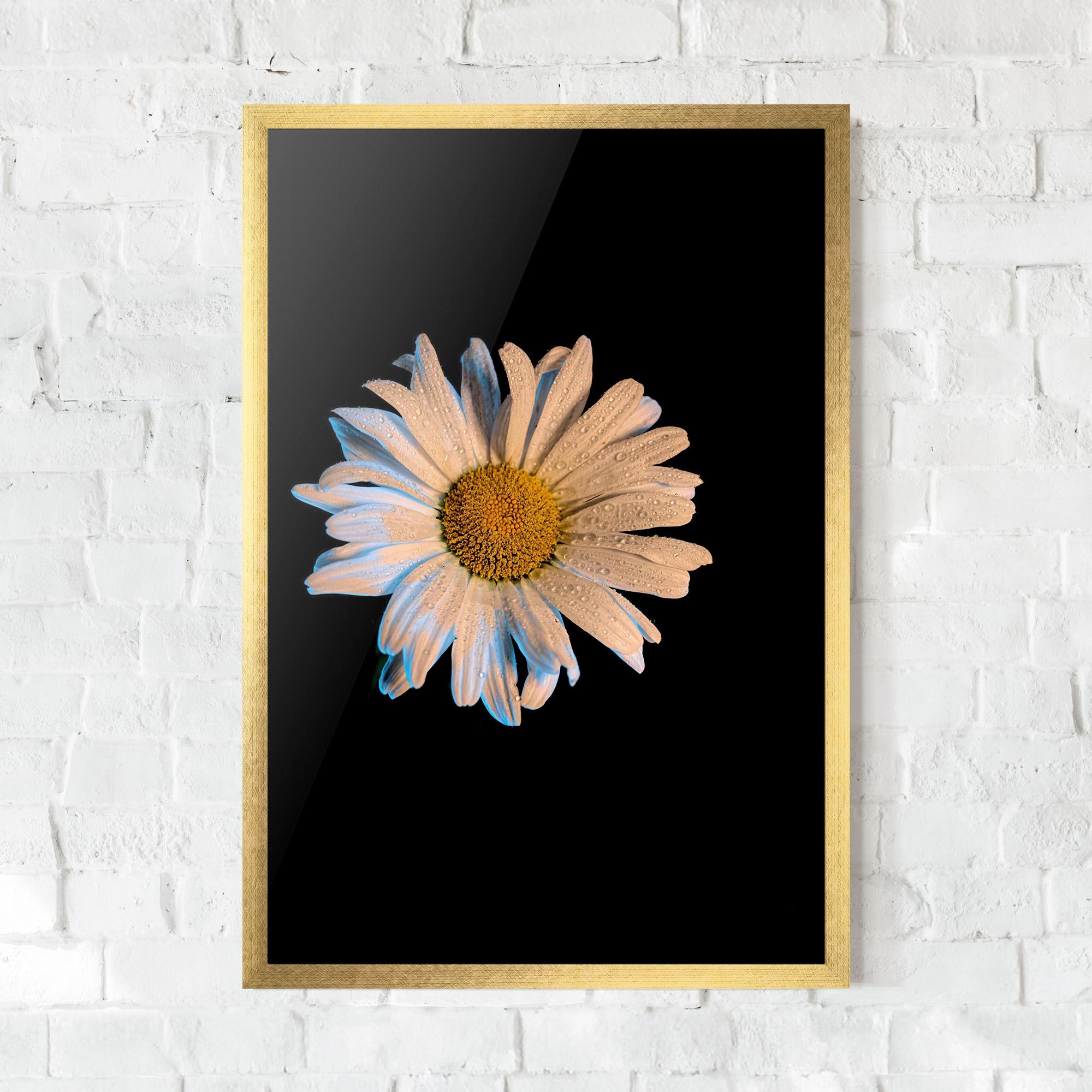 Gerahmte Poster Daisy mockup 0