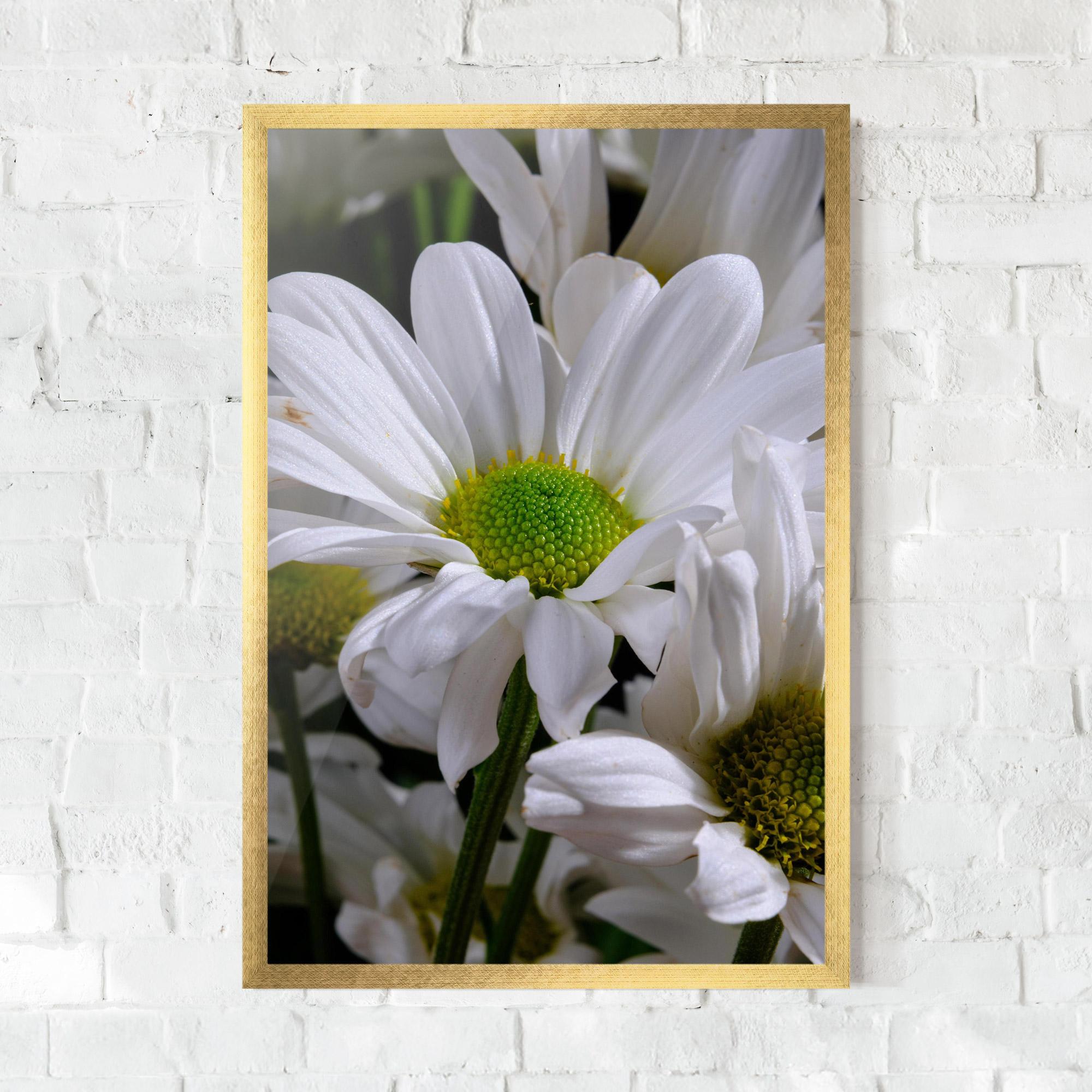 Gerahmte Poster Green Middle Daisy View mockup 0