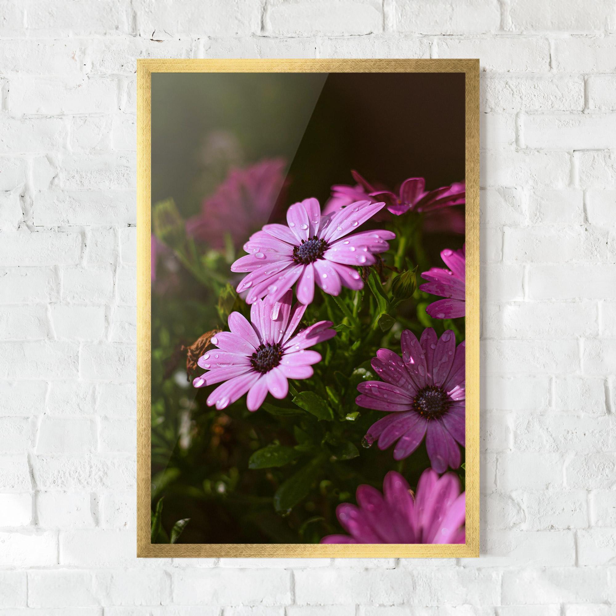 Gerahmte Poster Purple Daisy mockup 0