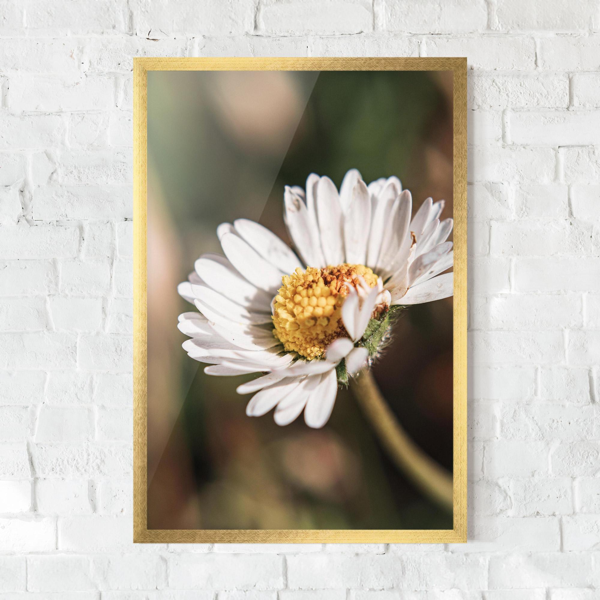Gerahmte Poster Yellow Pastel Daisy mockup 0