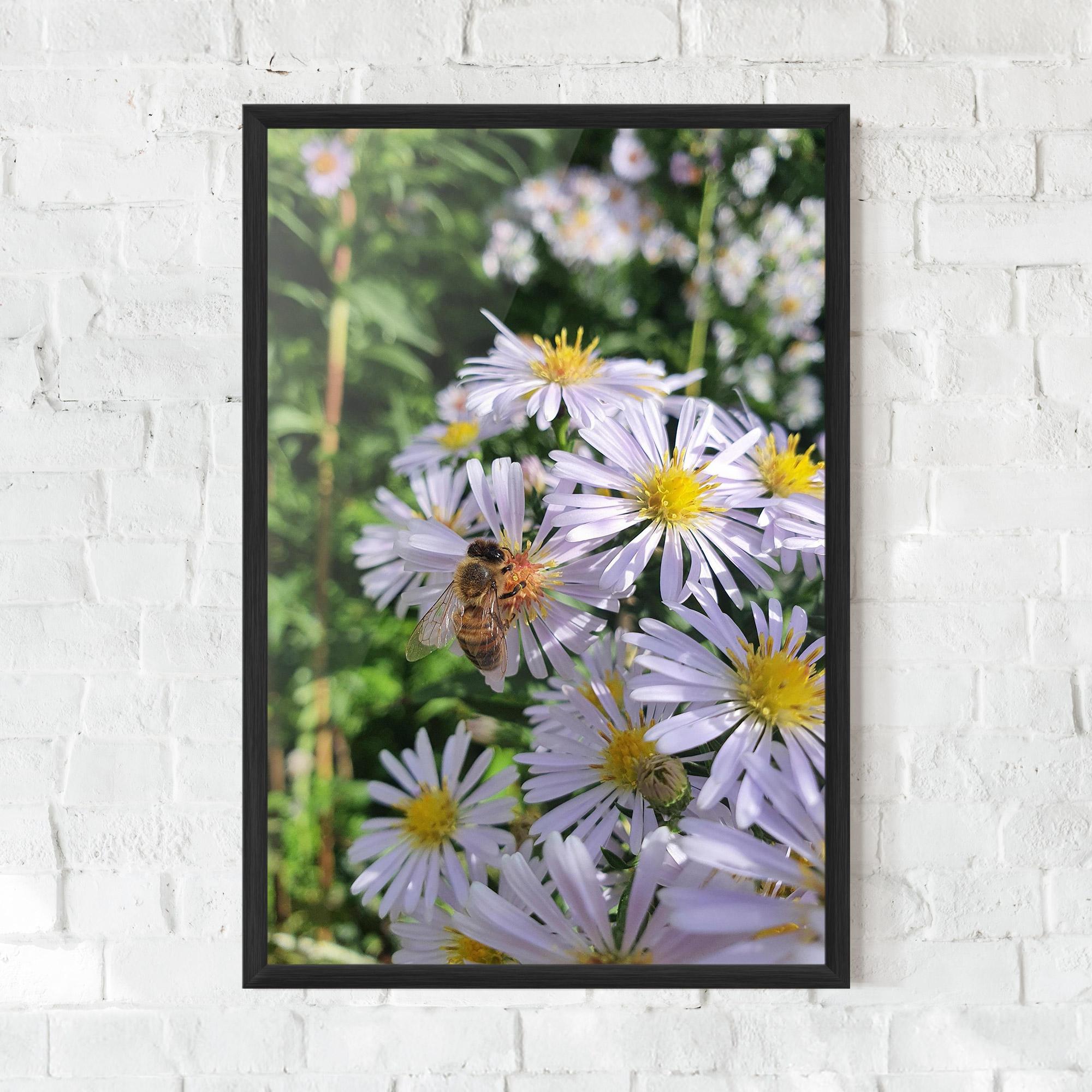 Gerahmte Poster Bee On Light Purple Daisy mockup 0