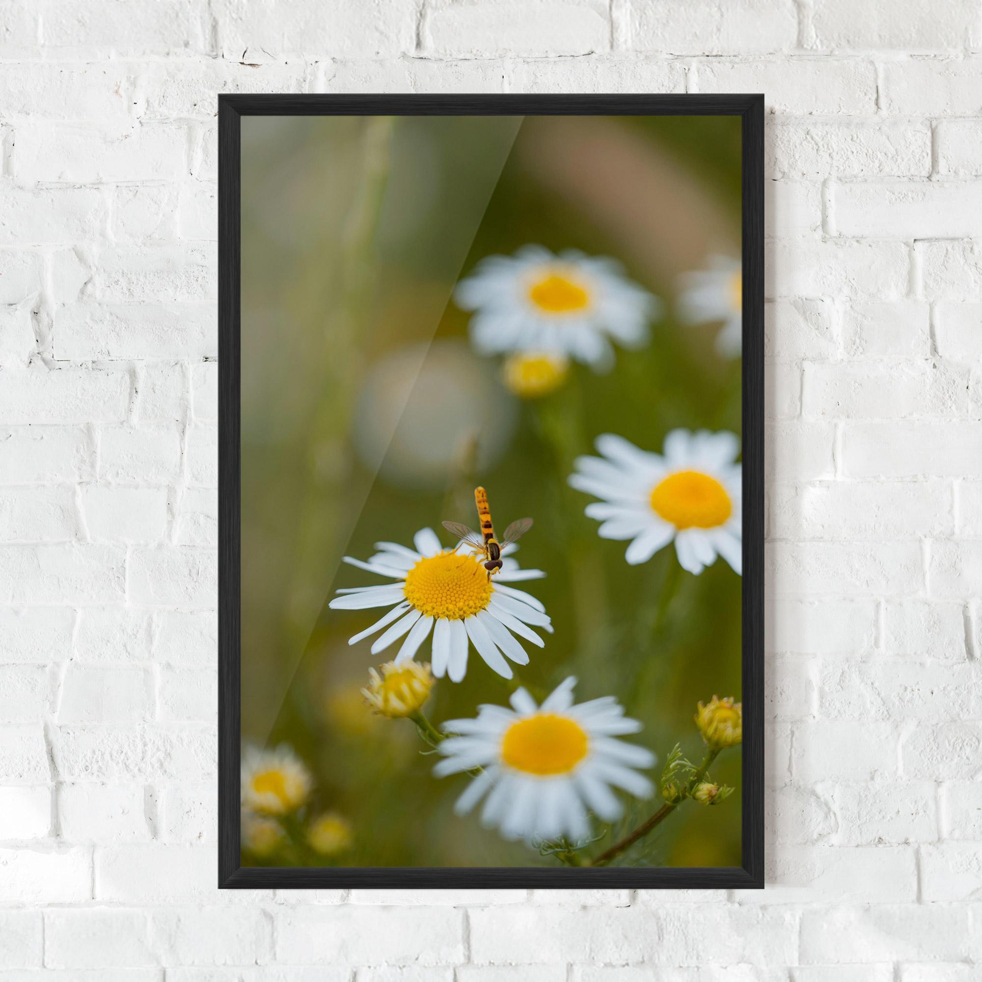 Gerahmte Poster Bug On Small Daisy mockup 0