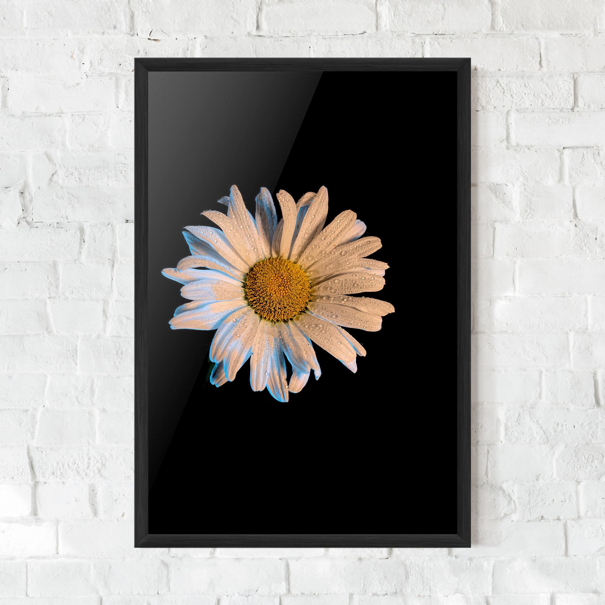 Gerahmte Poster Daisy mockup 0