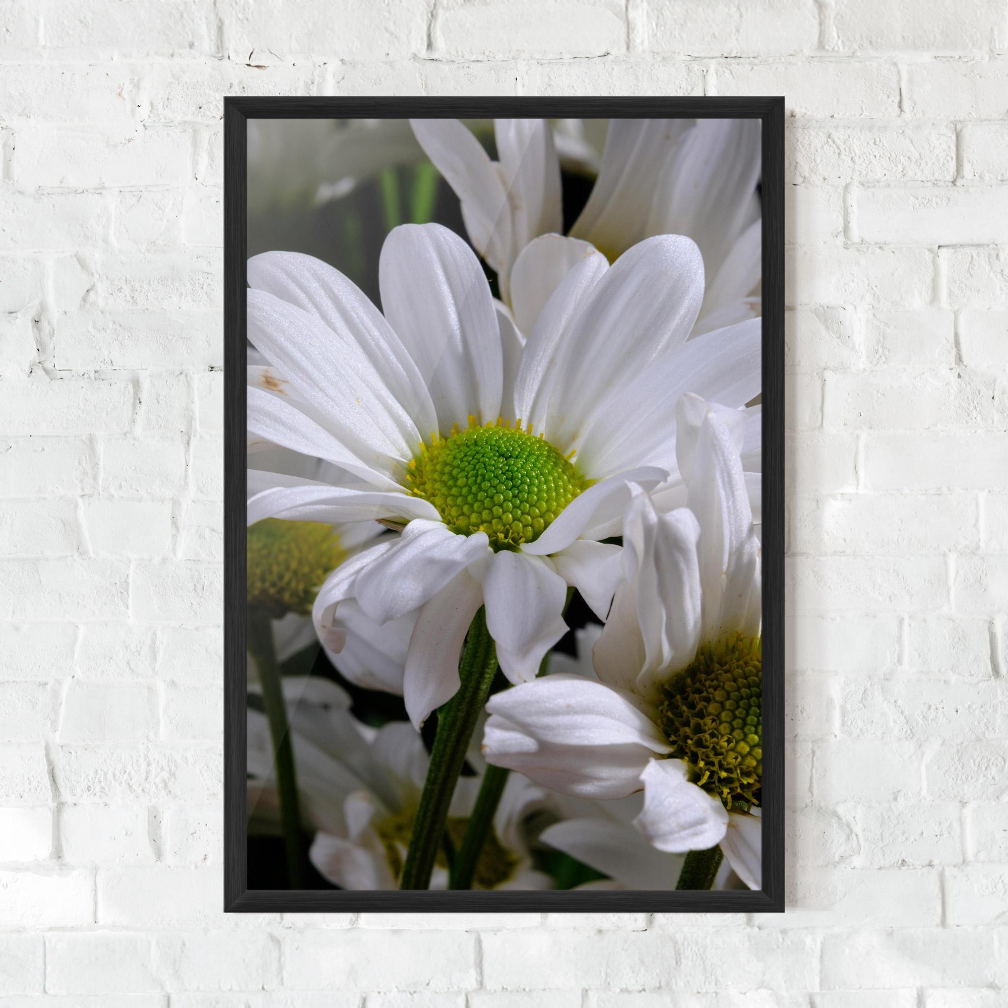 Gerahmte Poster Green Middle Daisy View mockup 0
