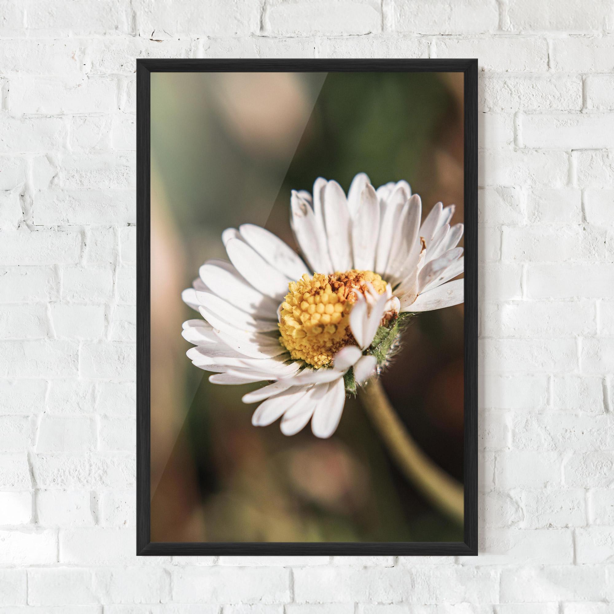 Gerahmte Poster Yellow Pastel Daisy mockup 0