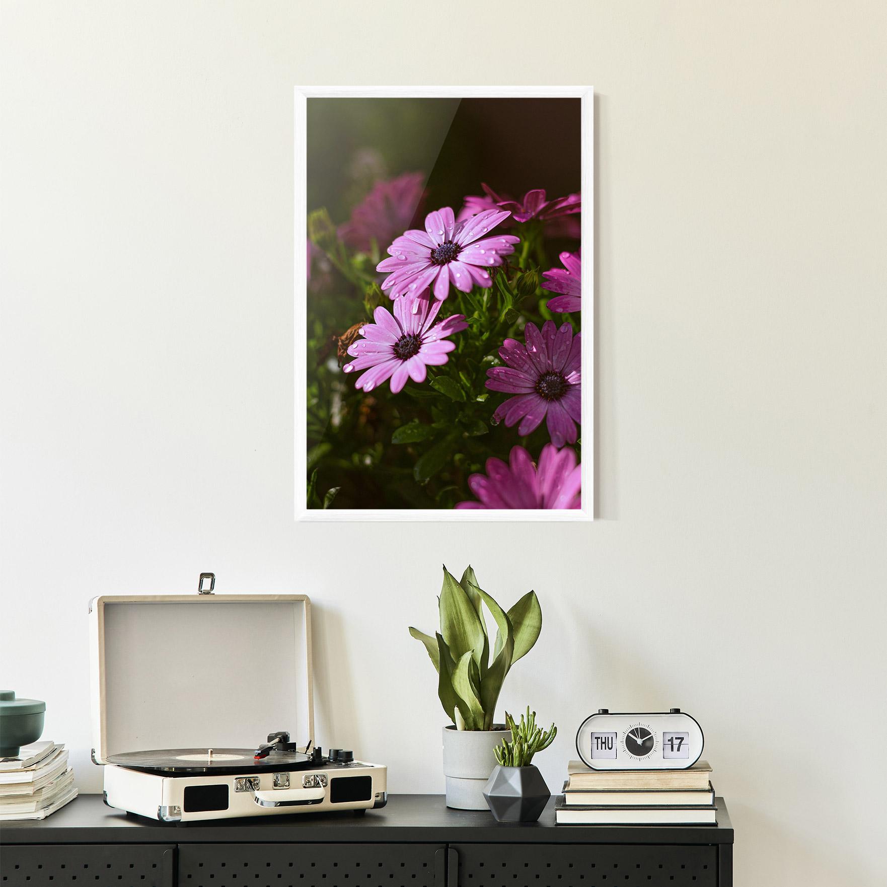 Gerahmte Poster Purple Daisy mockup 2