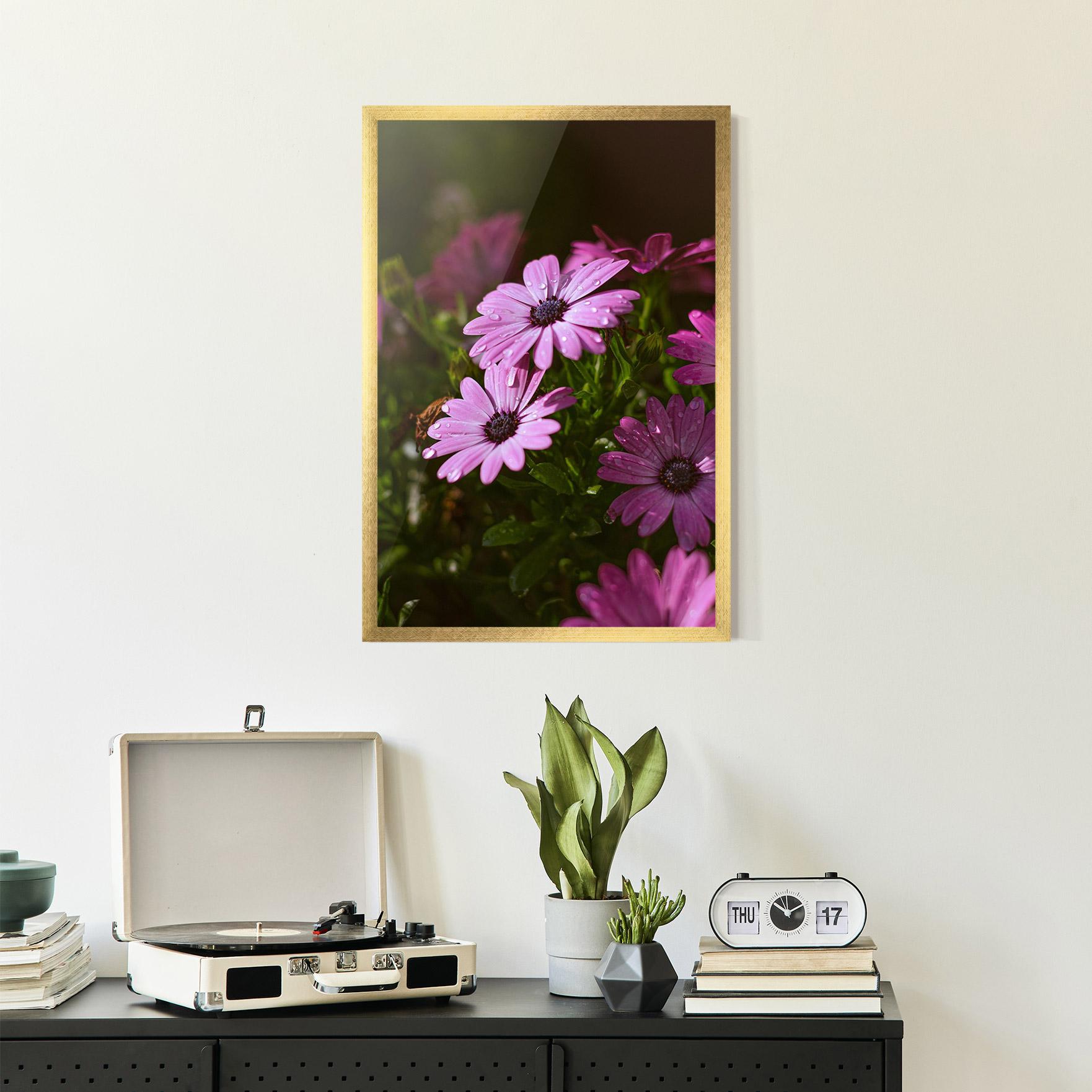 Gerahmte Poster Purple Daisy mockup 2