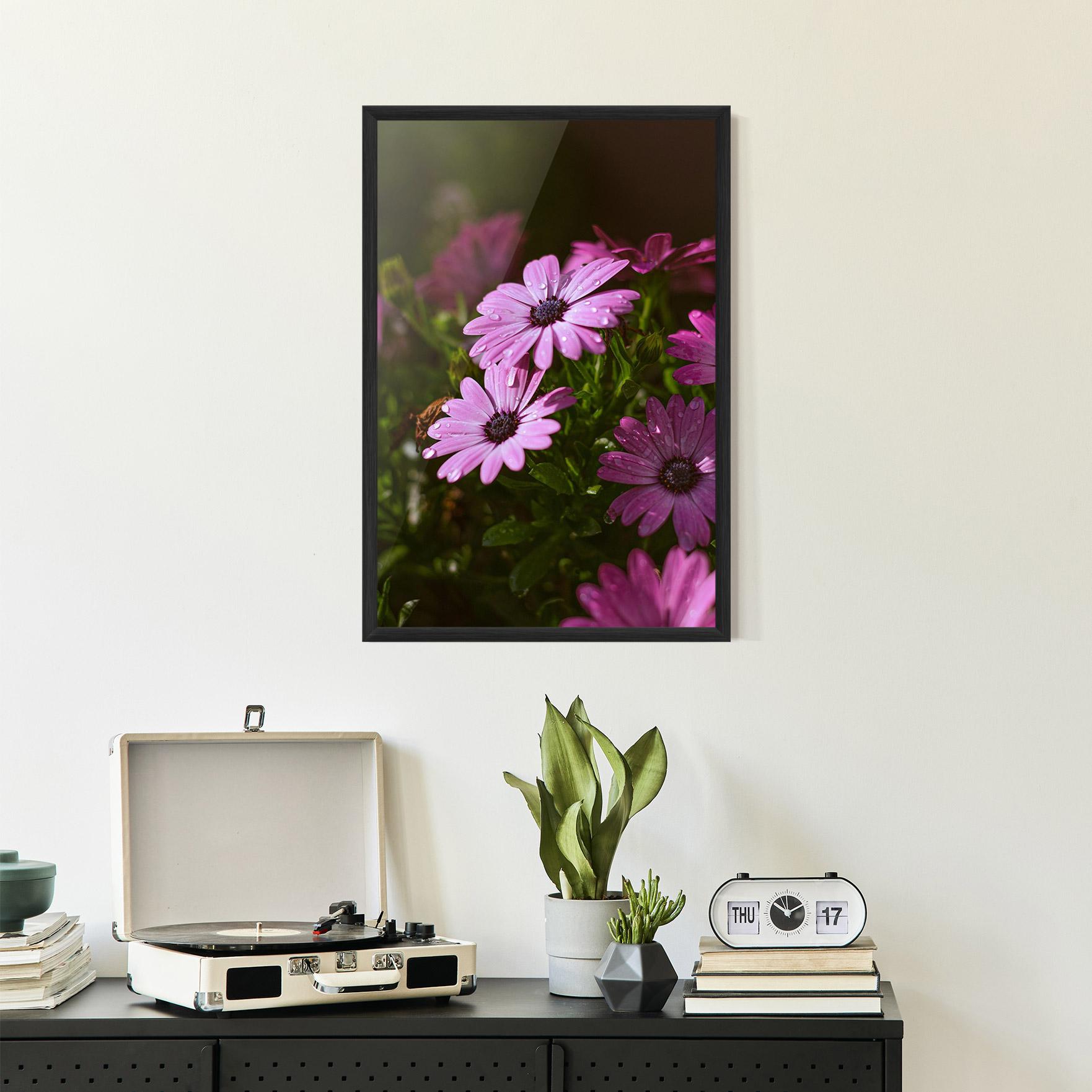 Gerahmte Poster Purple Daisy mockup 2