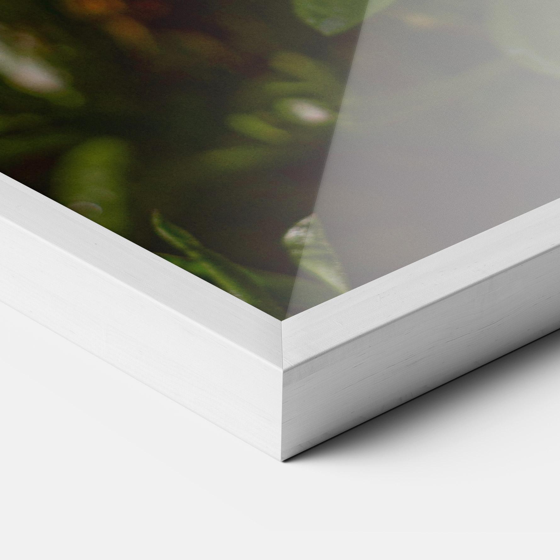 Gerahmte Poster Purple Daisy mockup 3