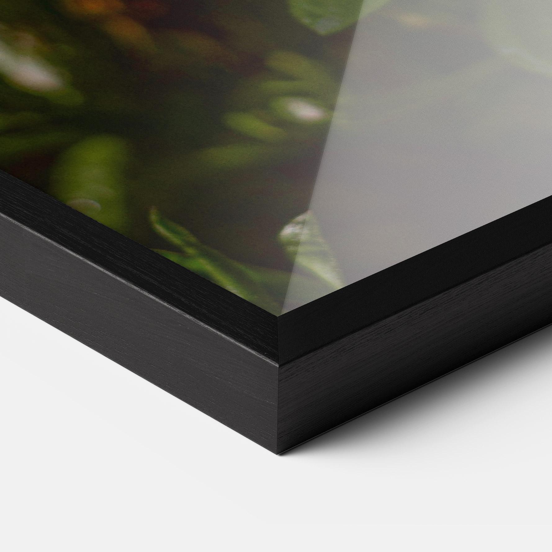 Gerahmte Poster Purple Daisy mockup 3