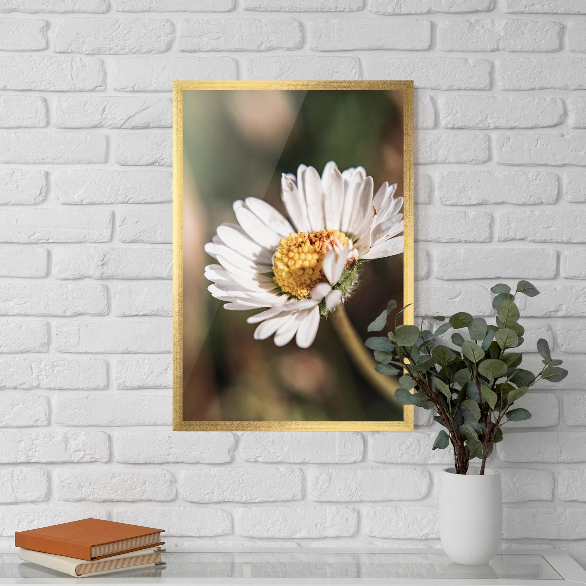 Gerahmte Poster Yellow Pastel Daisy mockup 5