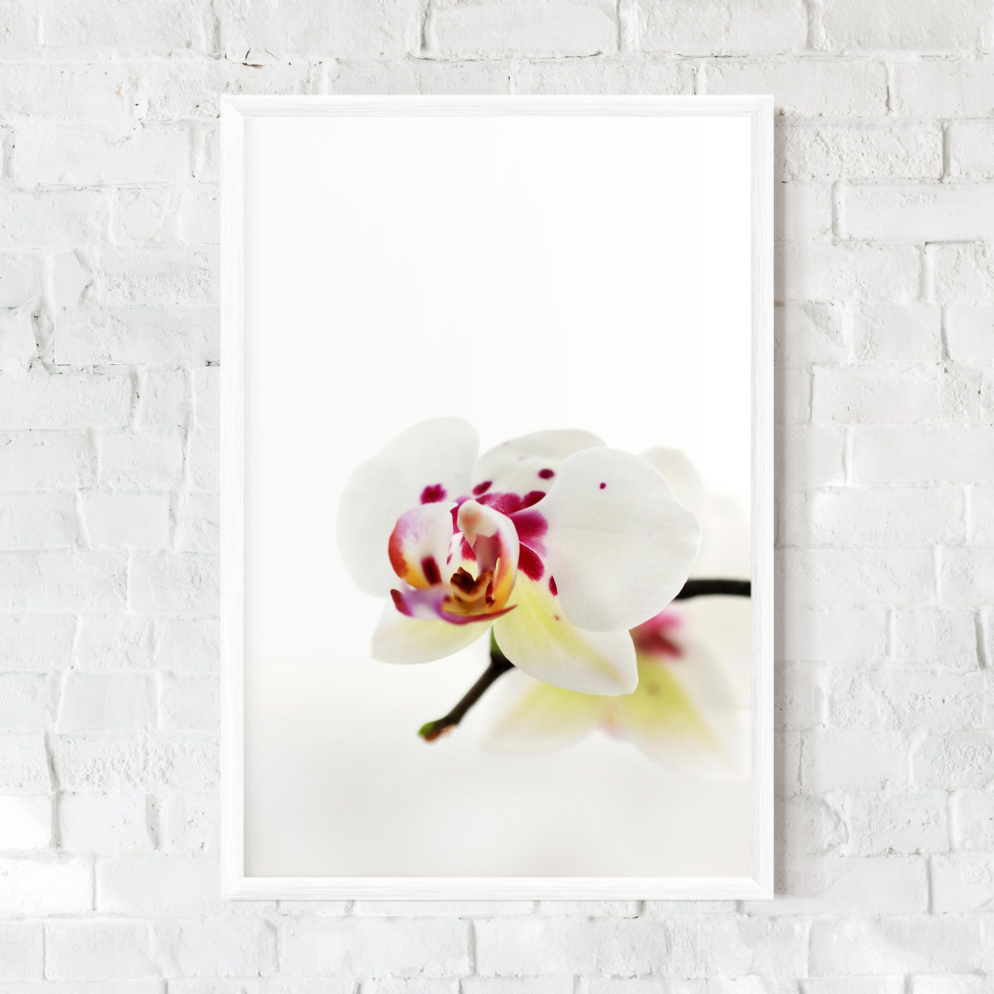 Clean White Orchid mockup 0