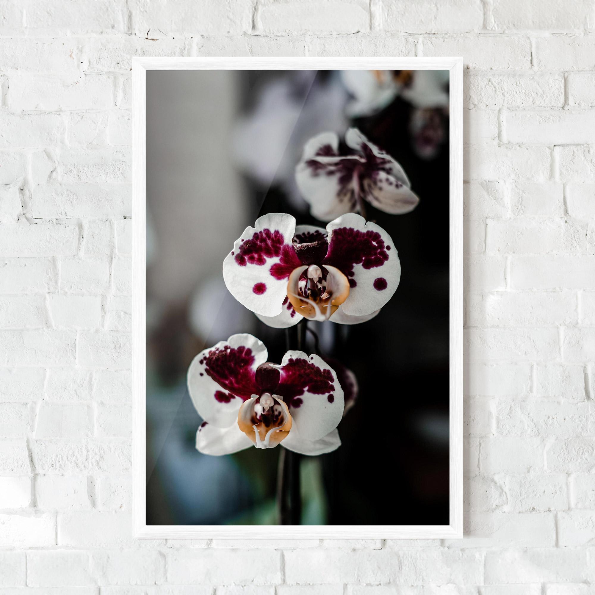 Gerahmte Poster Dark Purple Orchid mockup 0