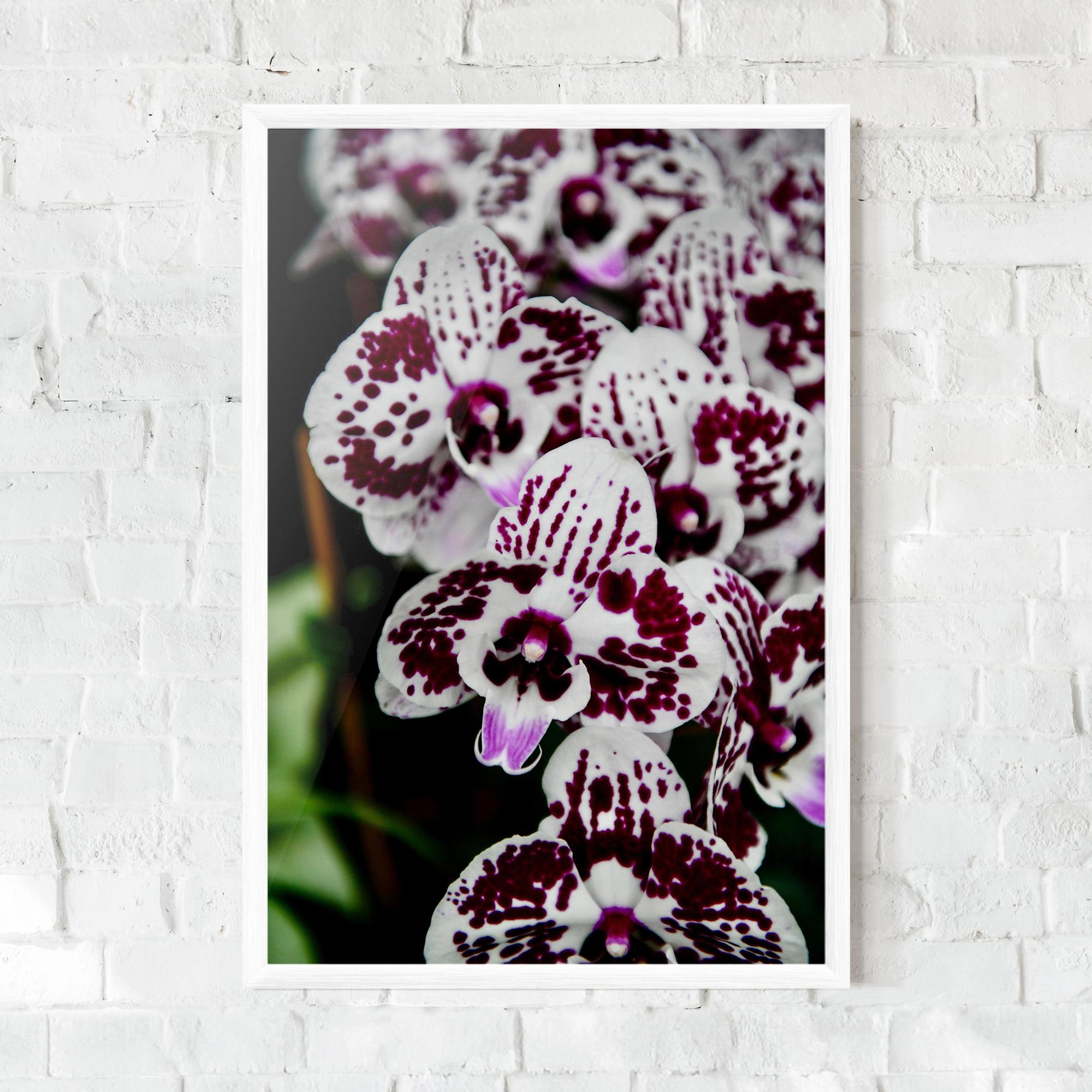 Gerahmte Poster Dark Purple Orchids mockup 0