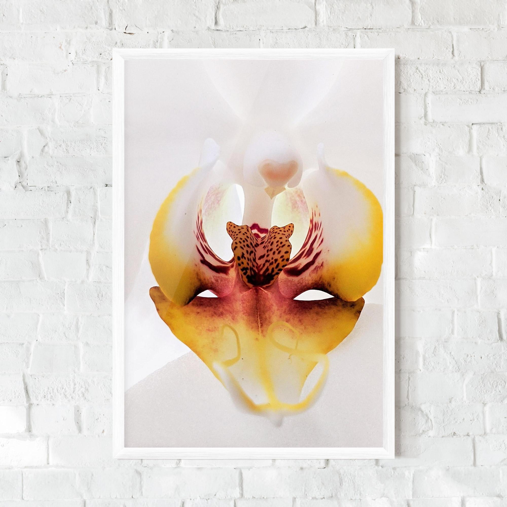 Gerahmte Poster Orchid Close Up mockup 0