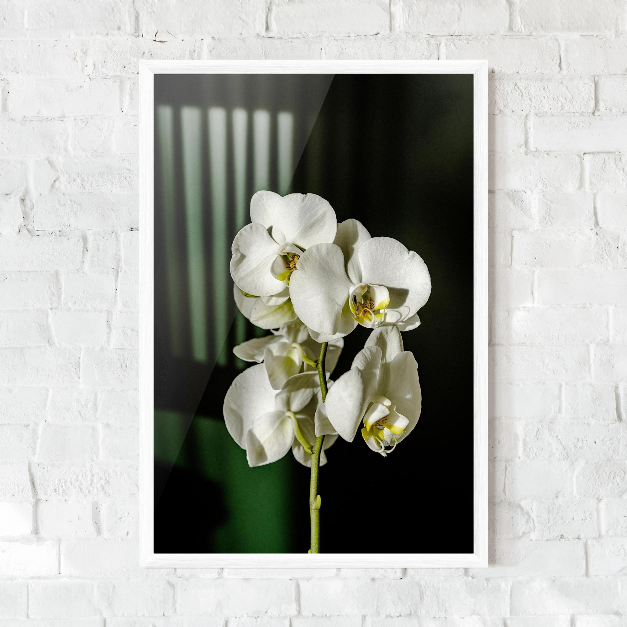Gerahmte Poster Orchid On Green mockup 0