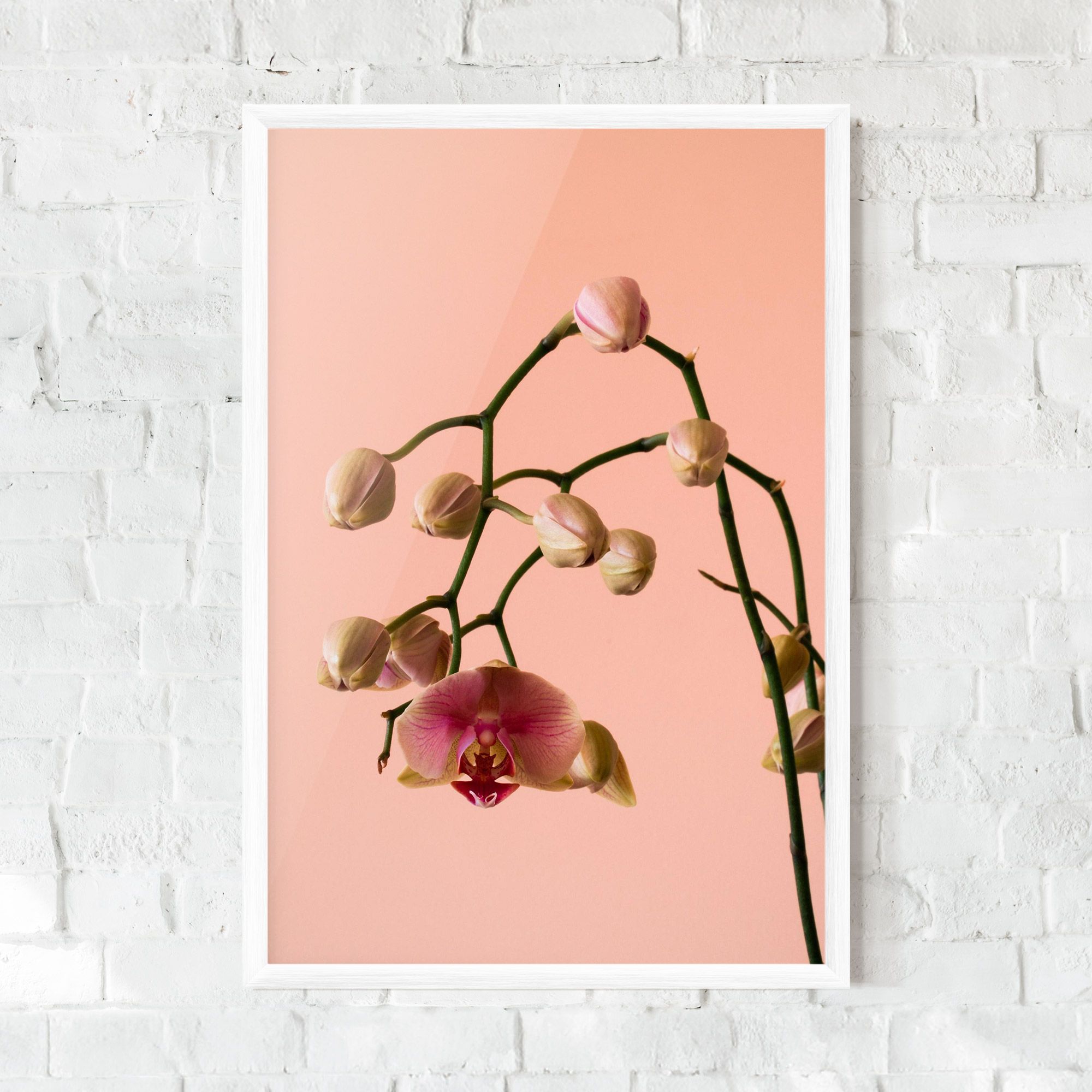 Orchids On Pink mockup 0