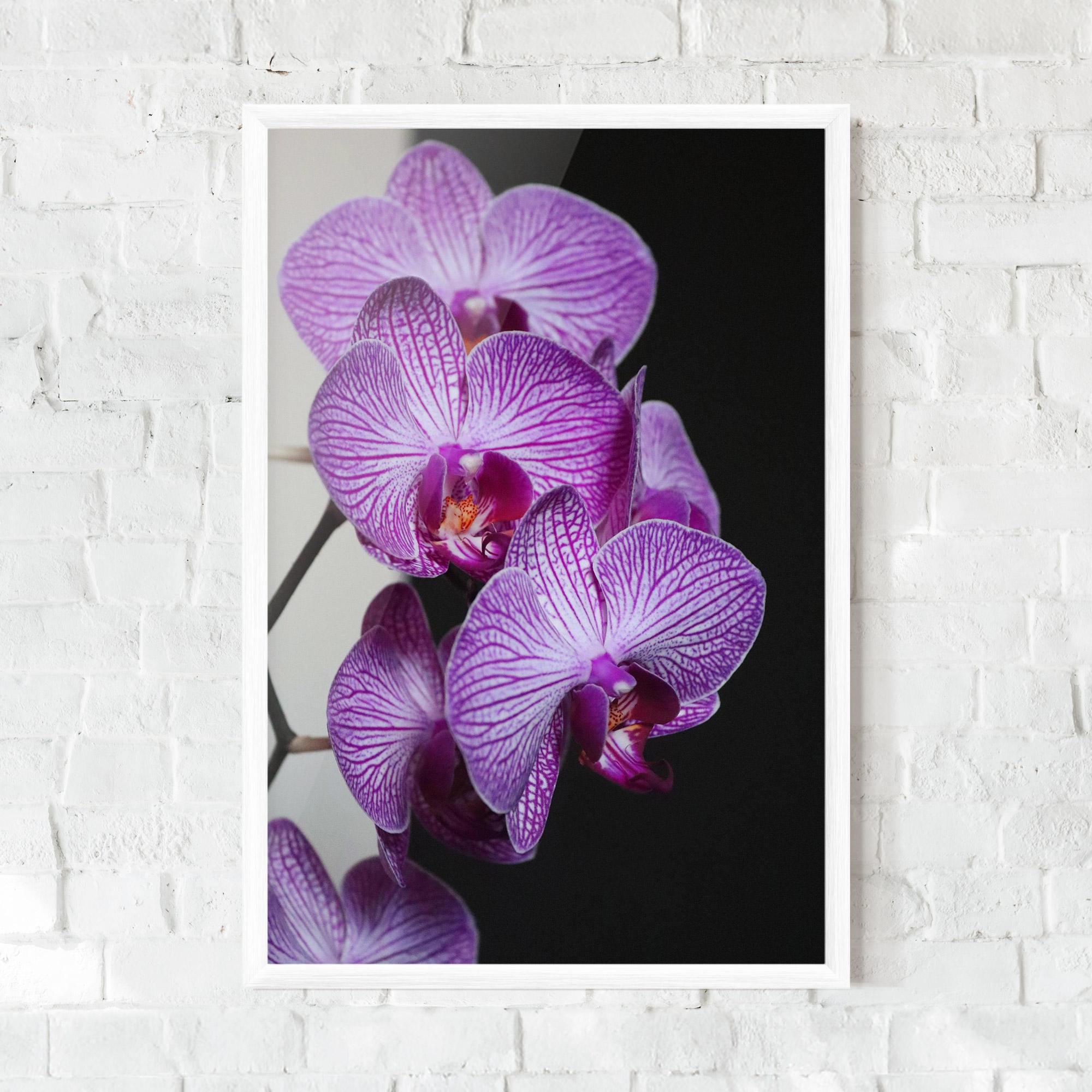 Gerahmte Poster Purple Orchid On Black mockup 0