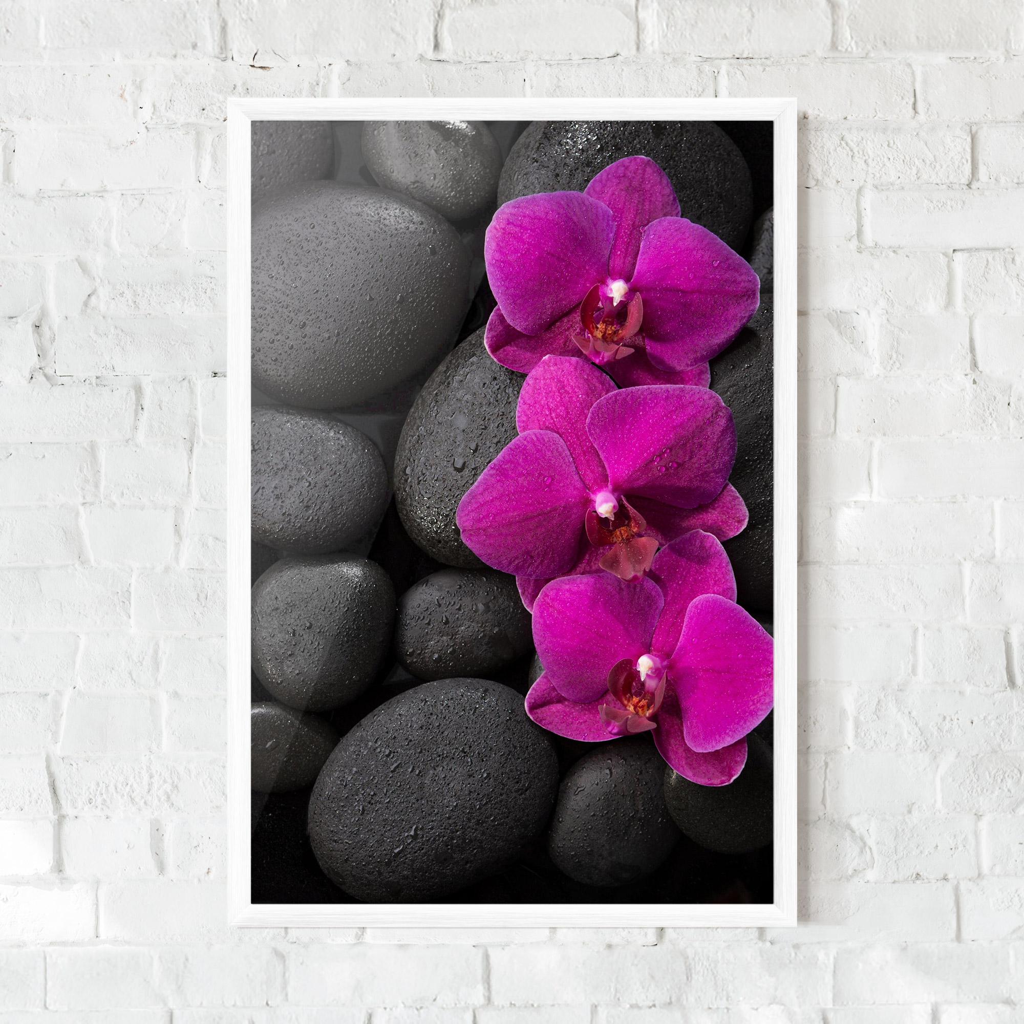 Gerahmte Poster Purple Orchid On Rocks mockup 0
