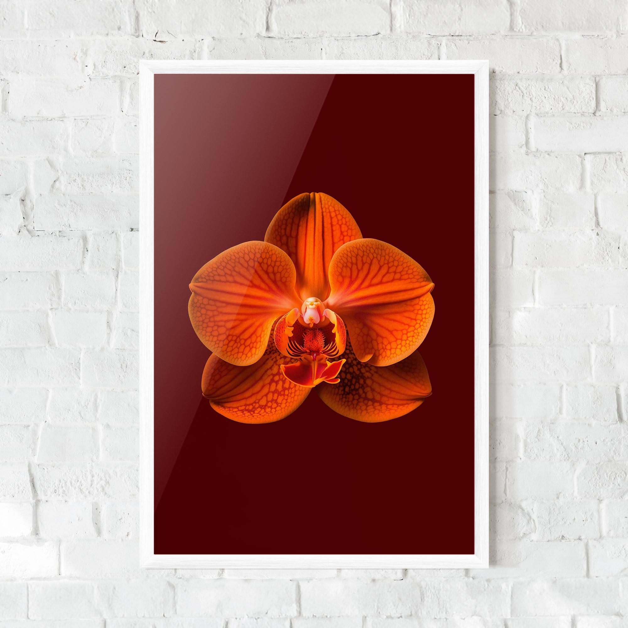 Gerahmte Poster Strong Orange Orchid mockup 0