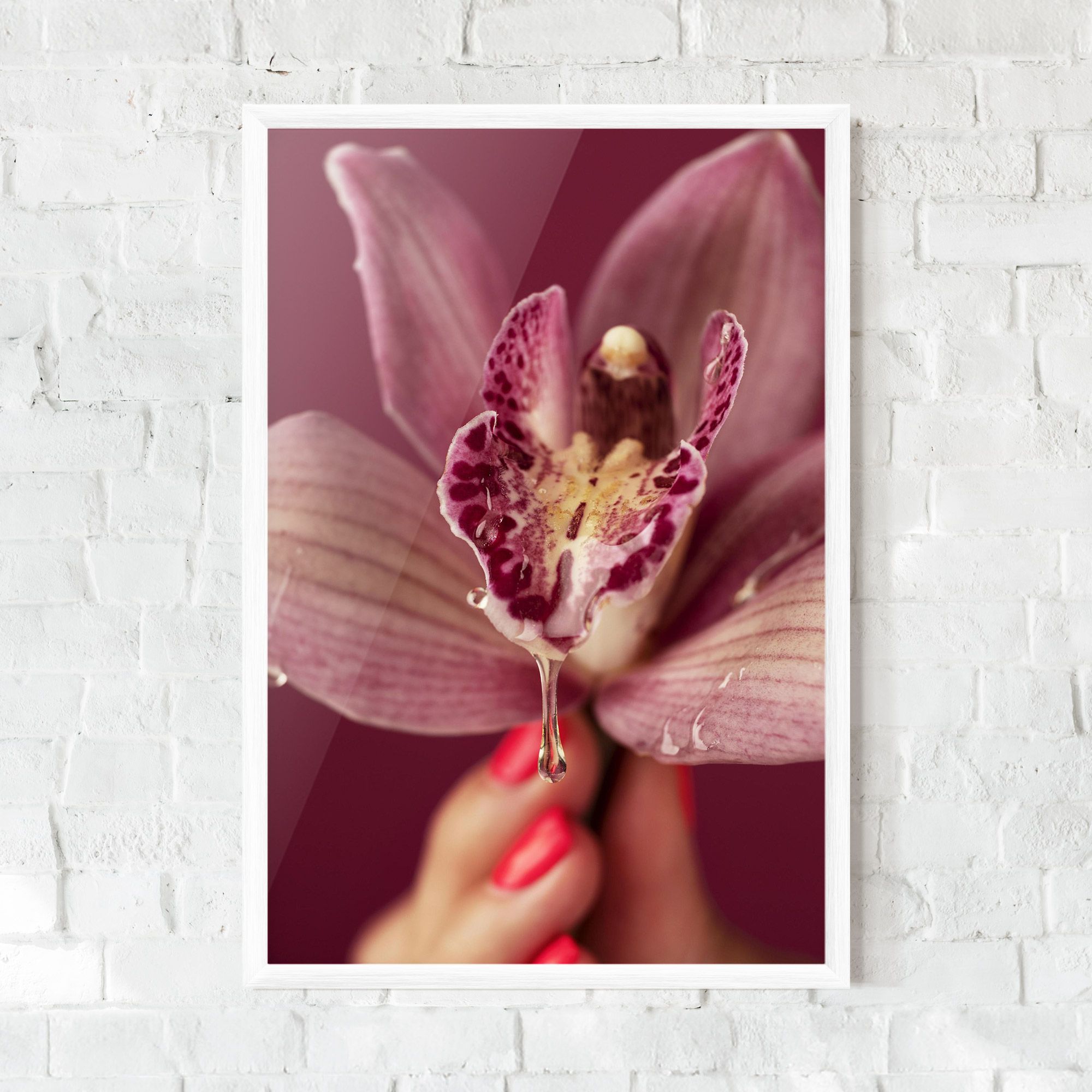 Wet Orchid mockup 0