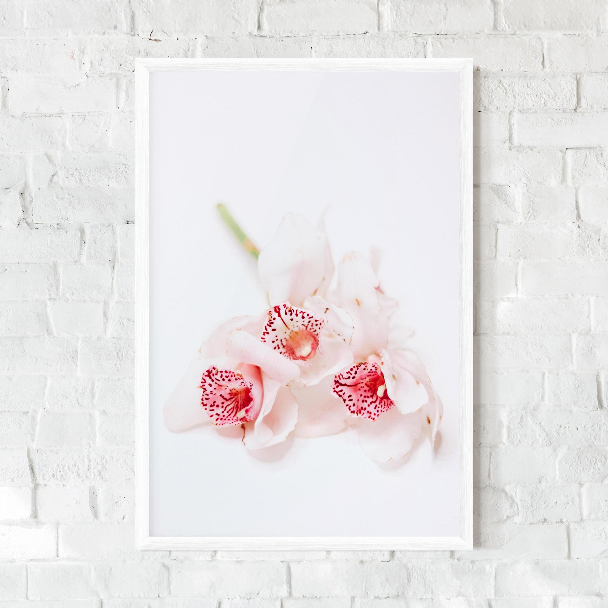 Gerahmte Poster White Orchid With Pink mockup 0