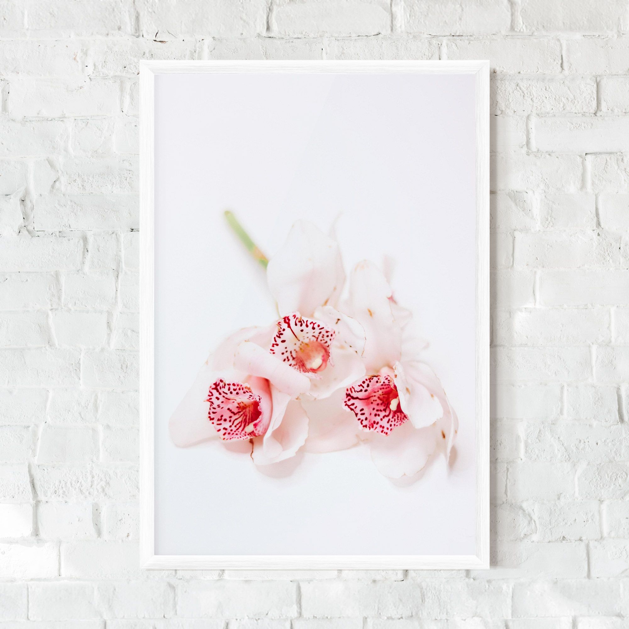 White Orchid With Pink mockup 0