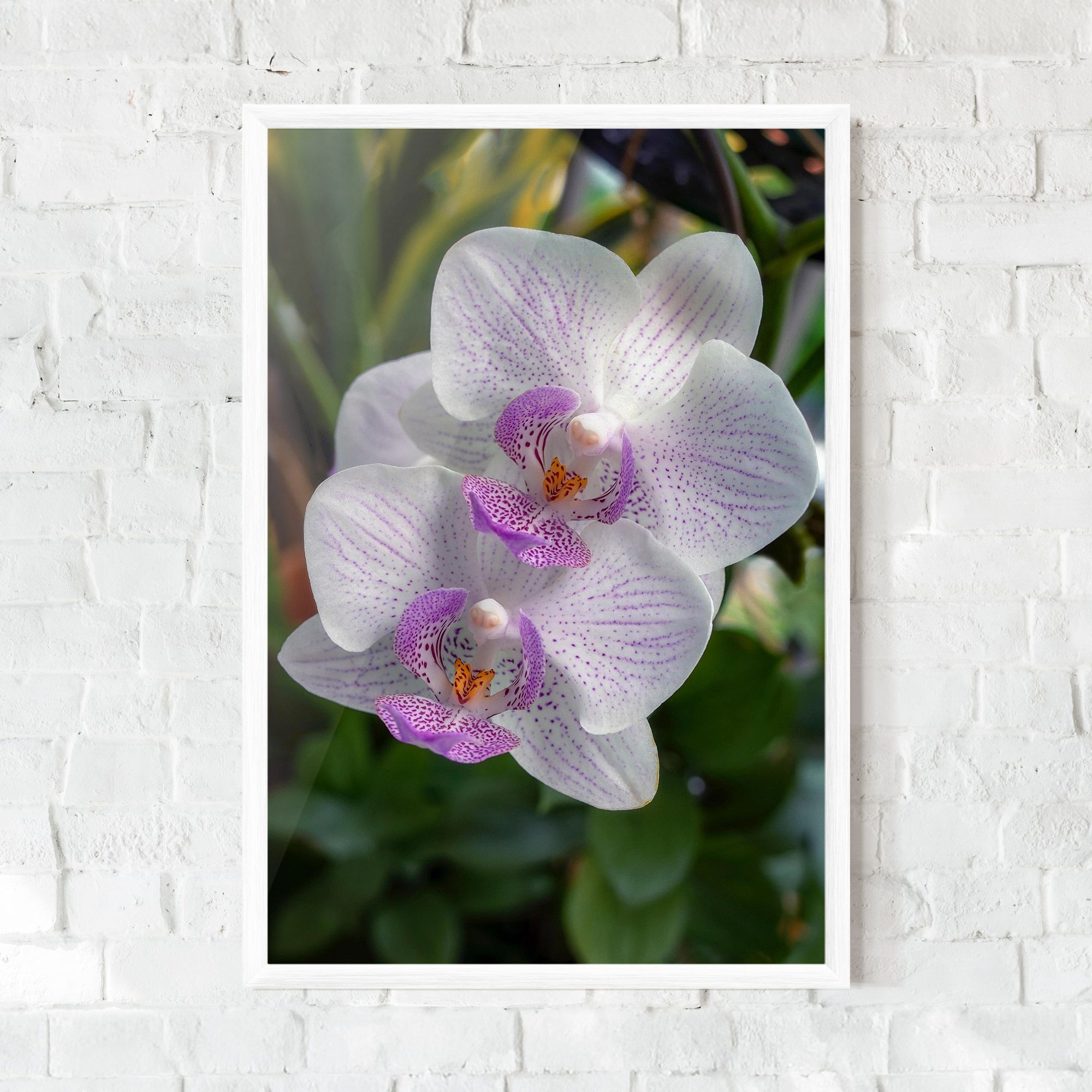 White Orchids mockup 0