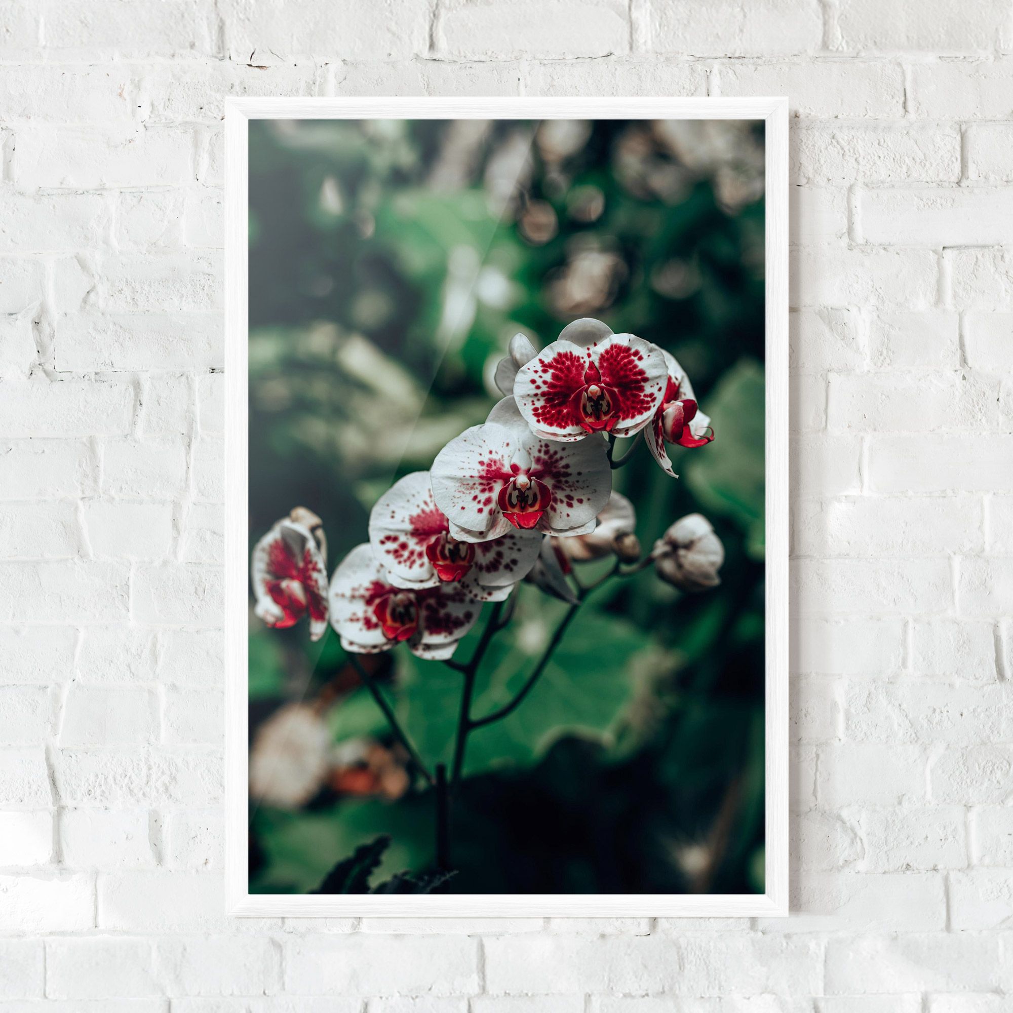 White Red Orchid mockup 0