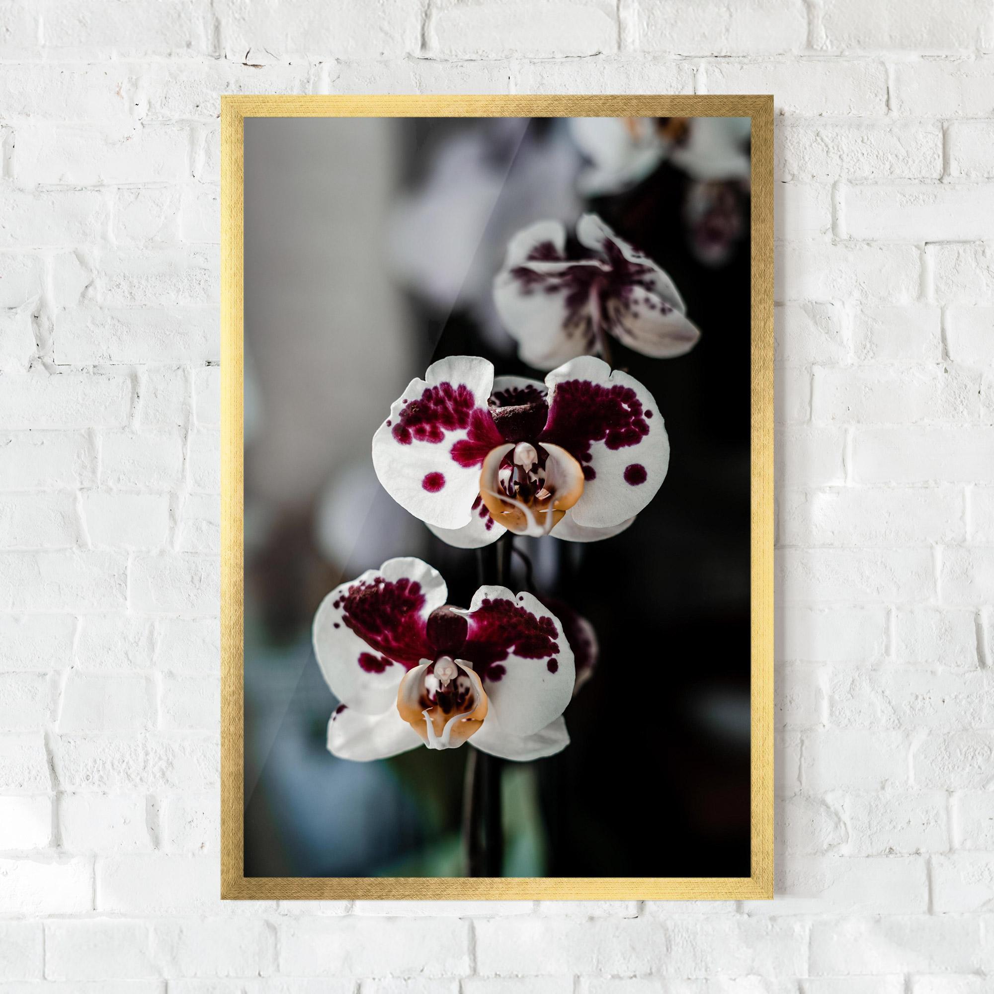 Gerahmte Poster Dark Purple Orchid mockup 0