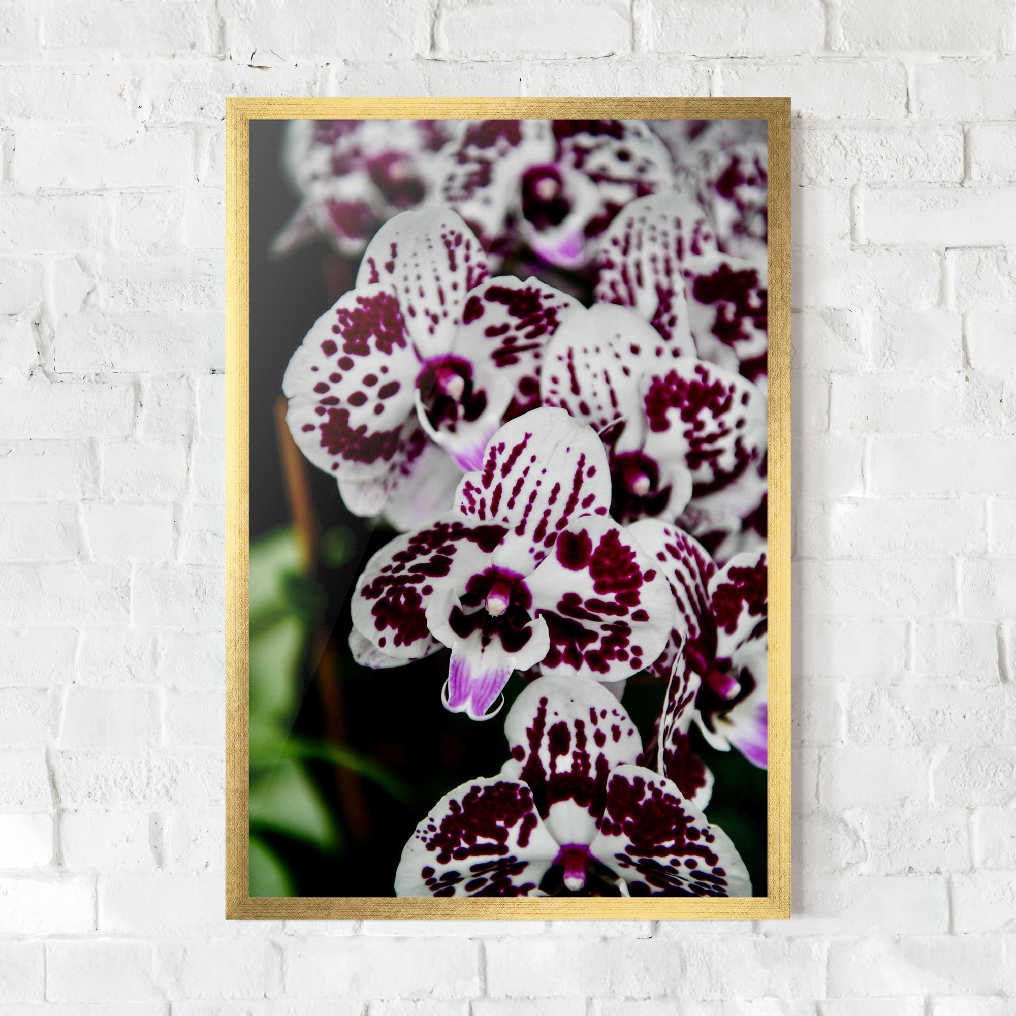Gerahmte Poster Dark Purple Orchids mockup 0