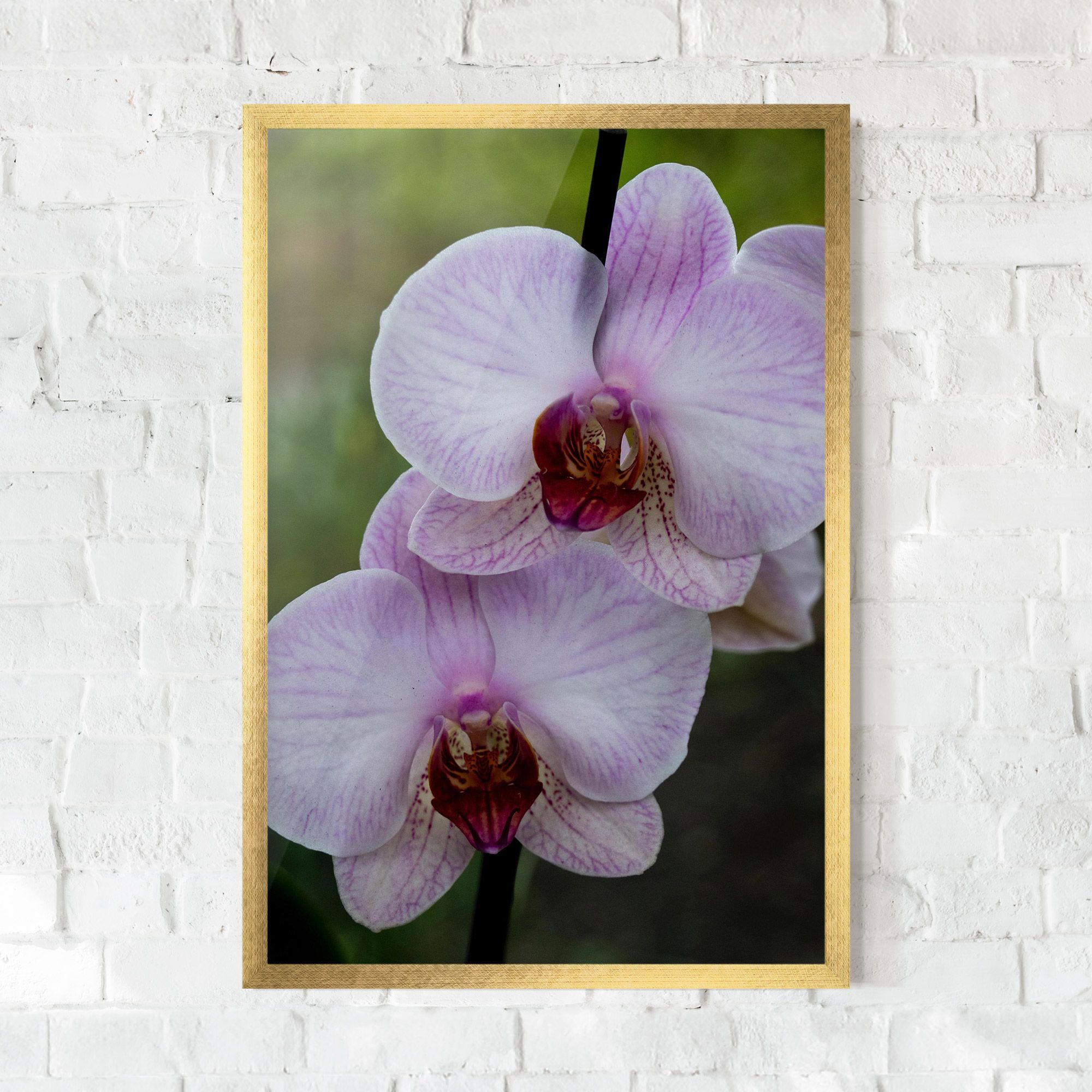 Garden Light Purple Orchid mockup 0