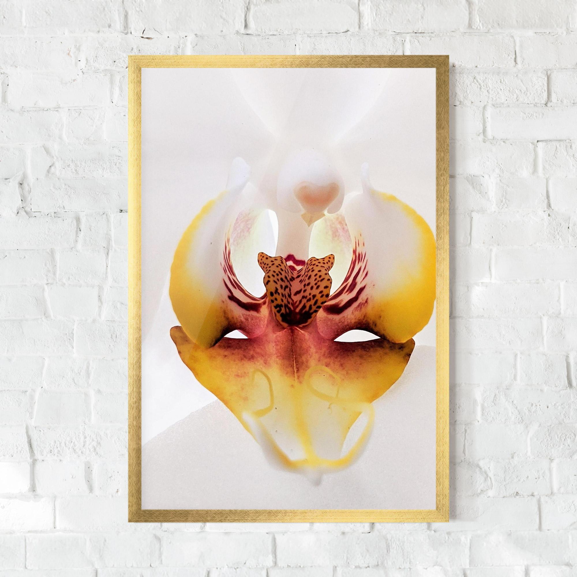 Gerahmte Poster Orchid Close Up mockup 0