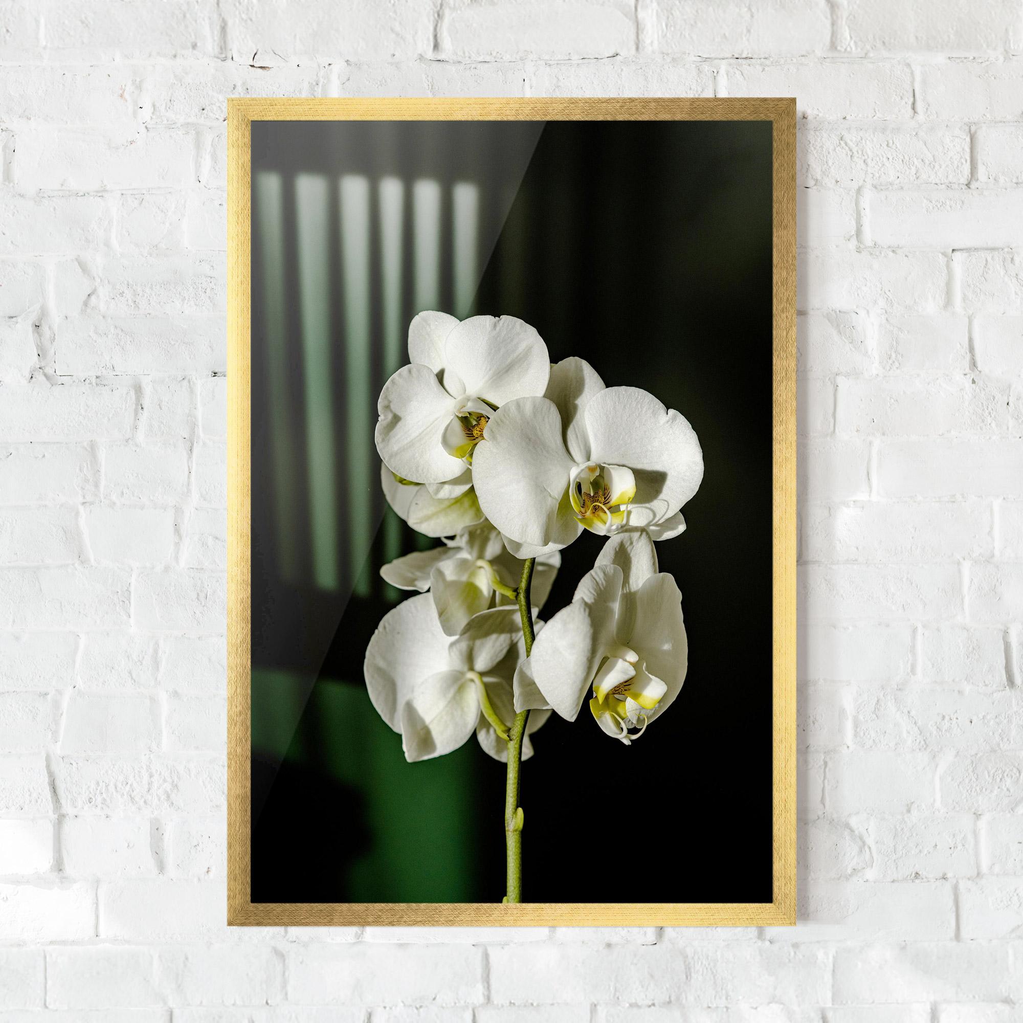 Gerahmte Poster Orchid On Green mockup 0