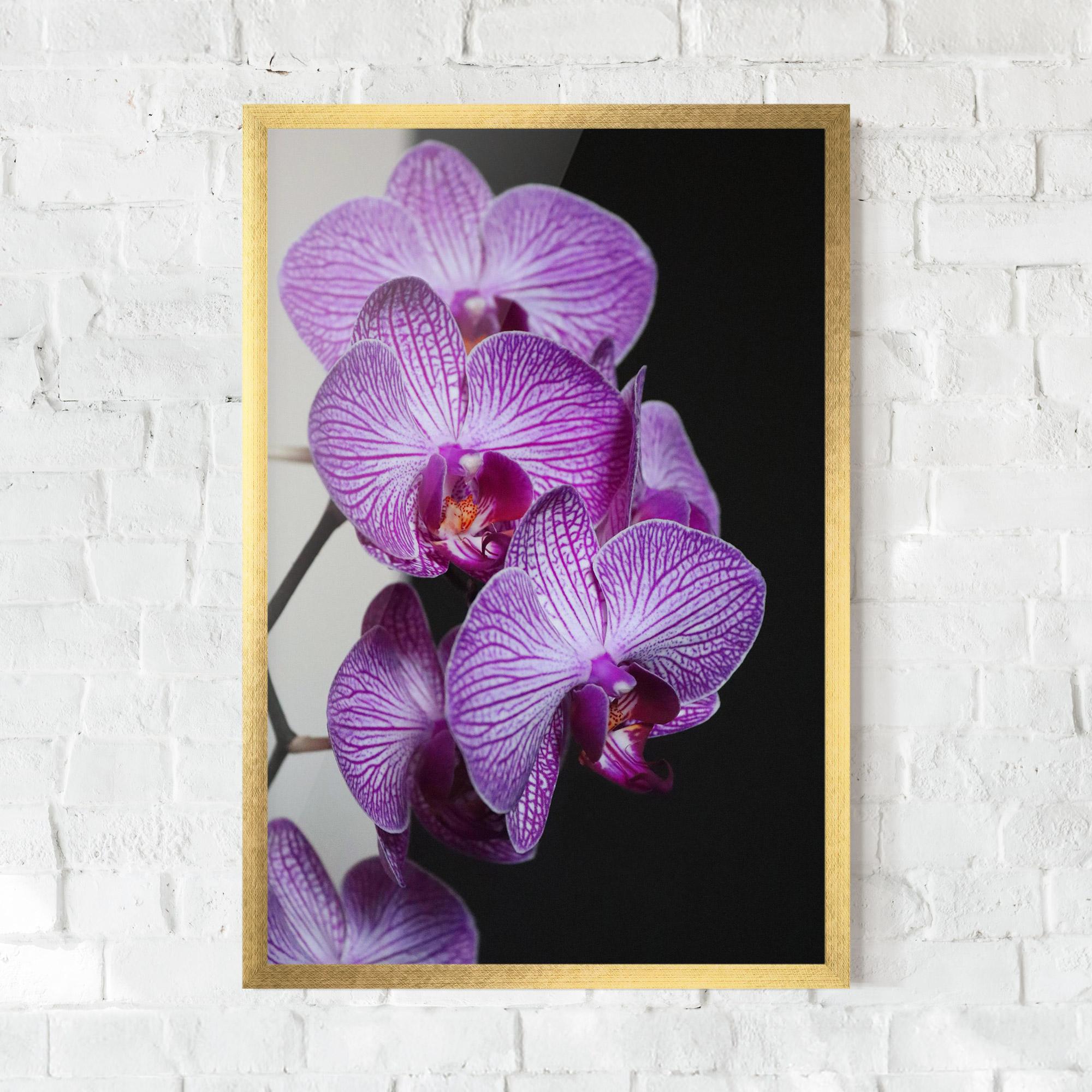 Gerahmte Poster Purple Orchid On Black mockup 0