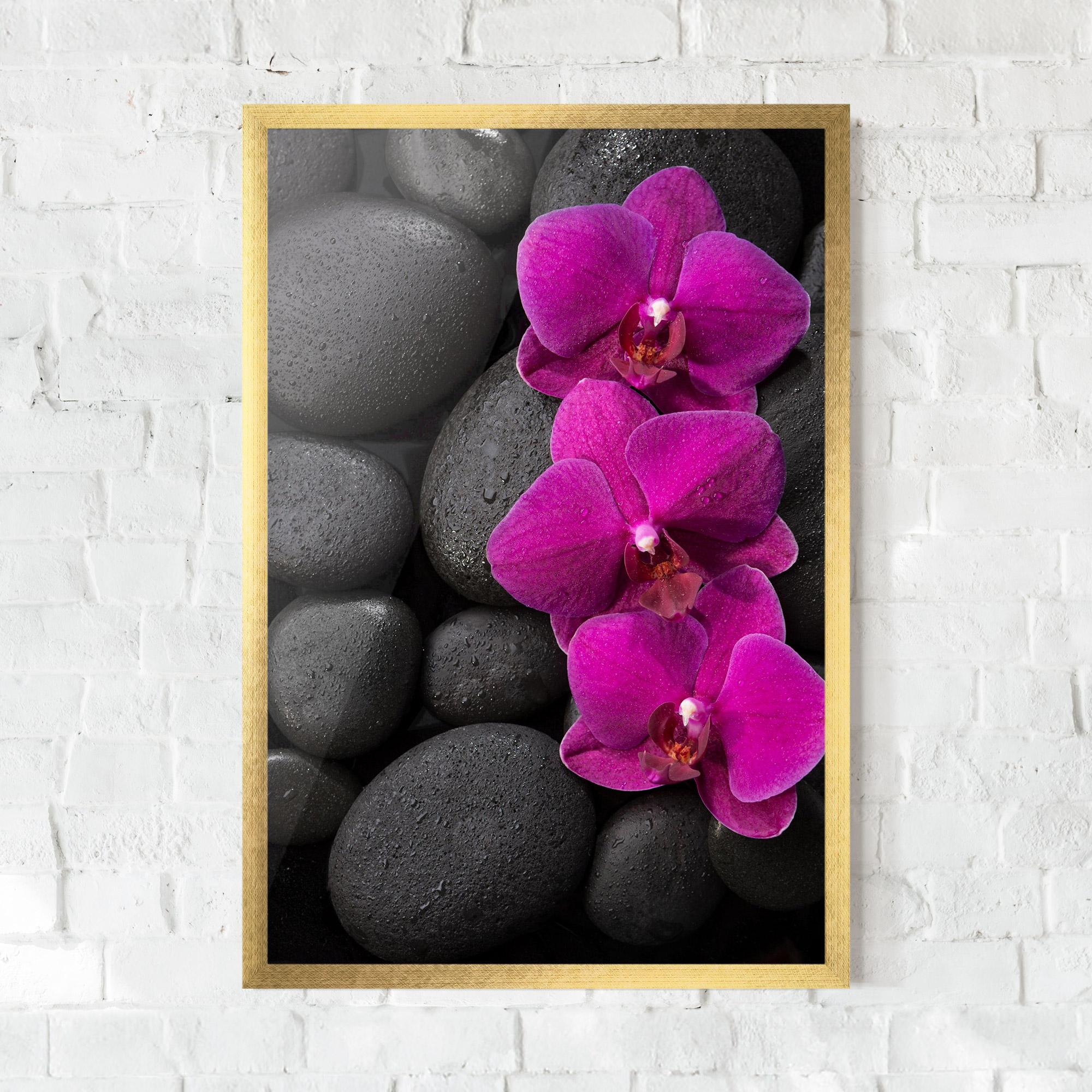 Gerahmte Poster Purple Orchid On Rocks mockup 0