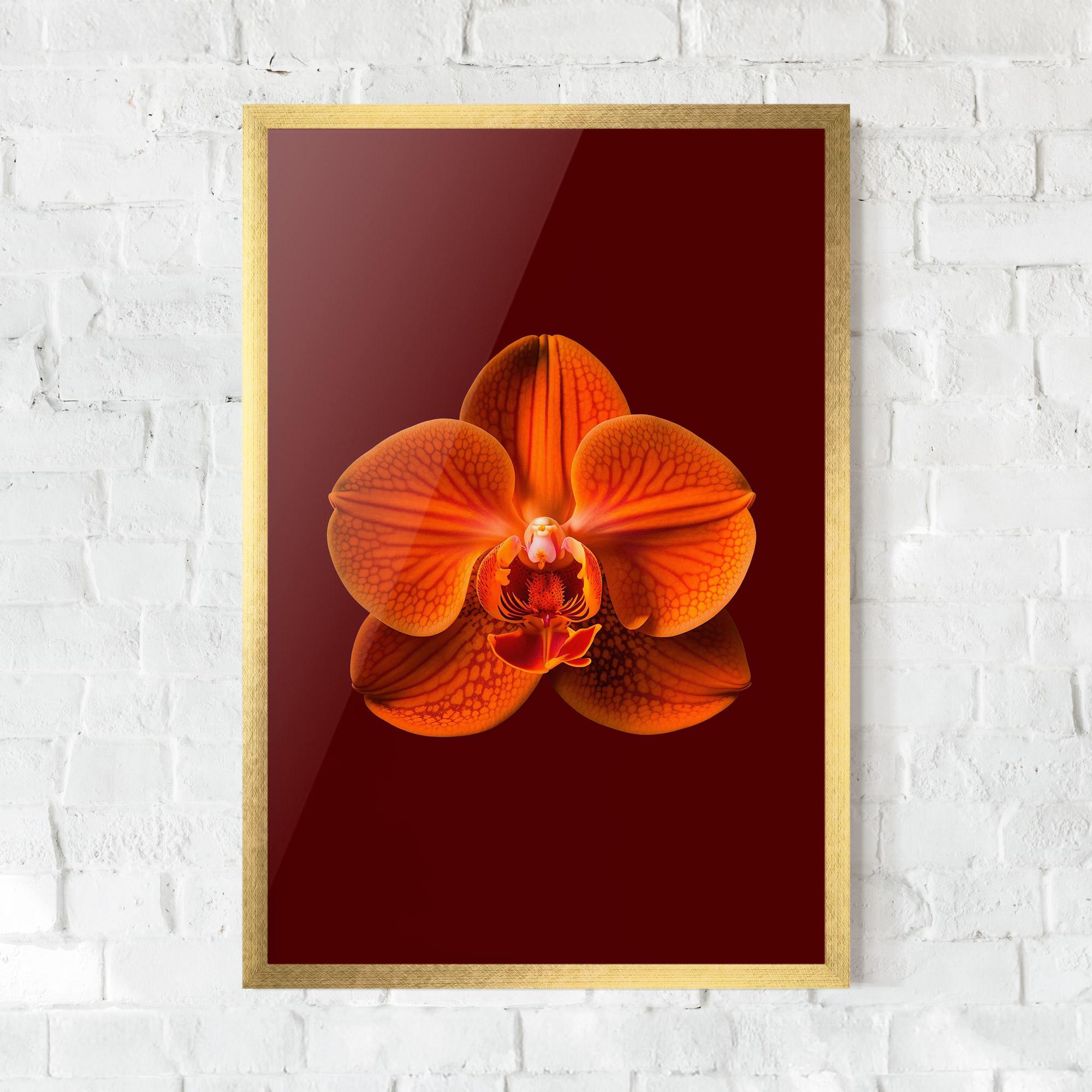 Gerahmte Poster Strong Orange Orchid mockup 0