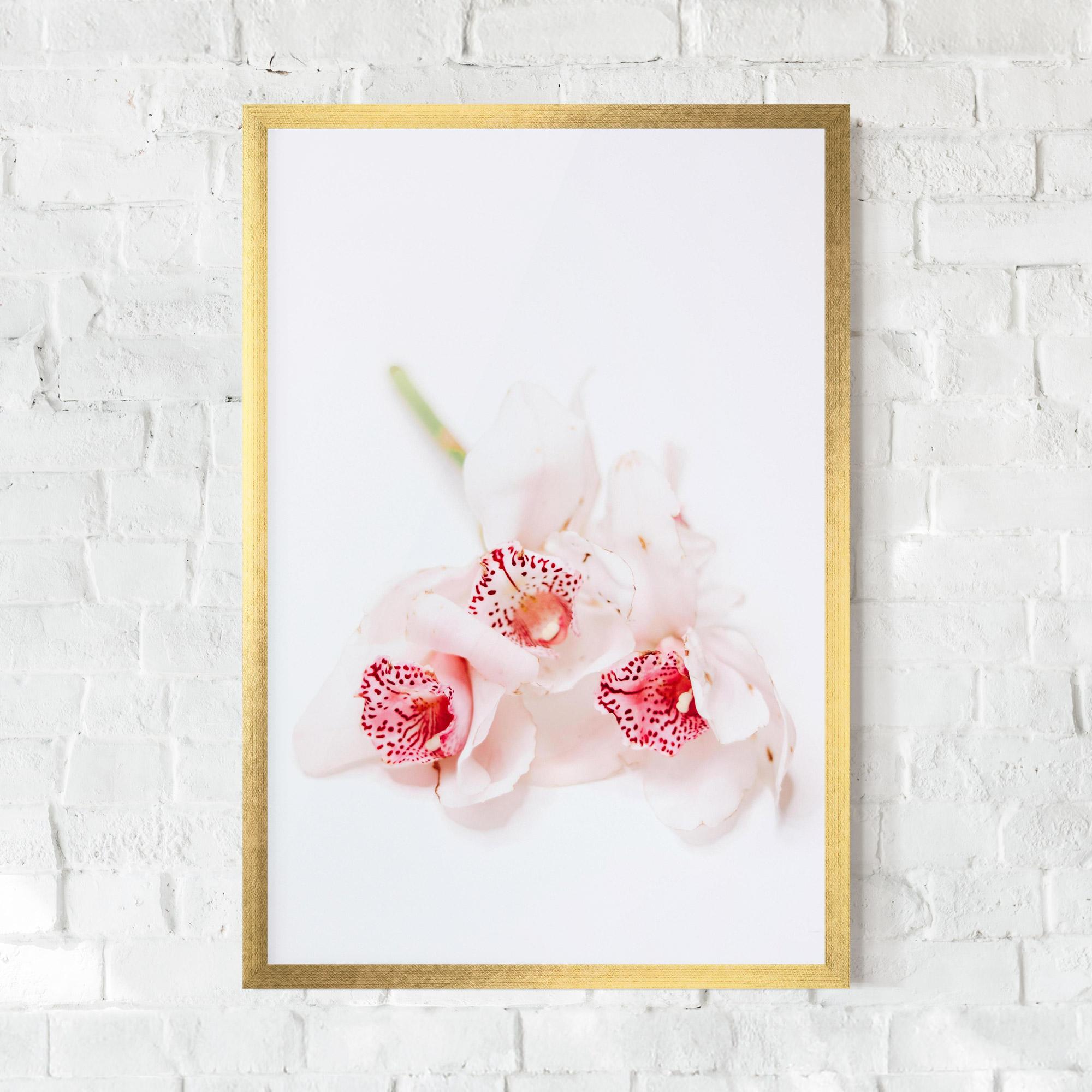 Gerahmte Poster White Orchid With Pink mockup 0