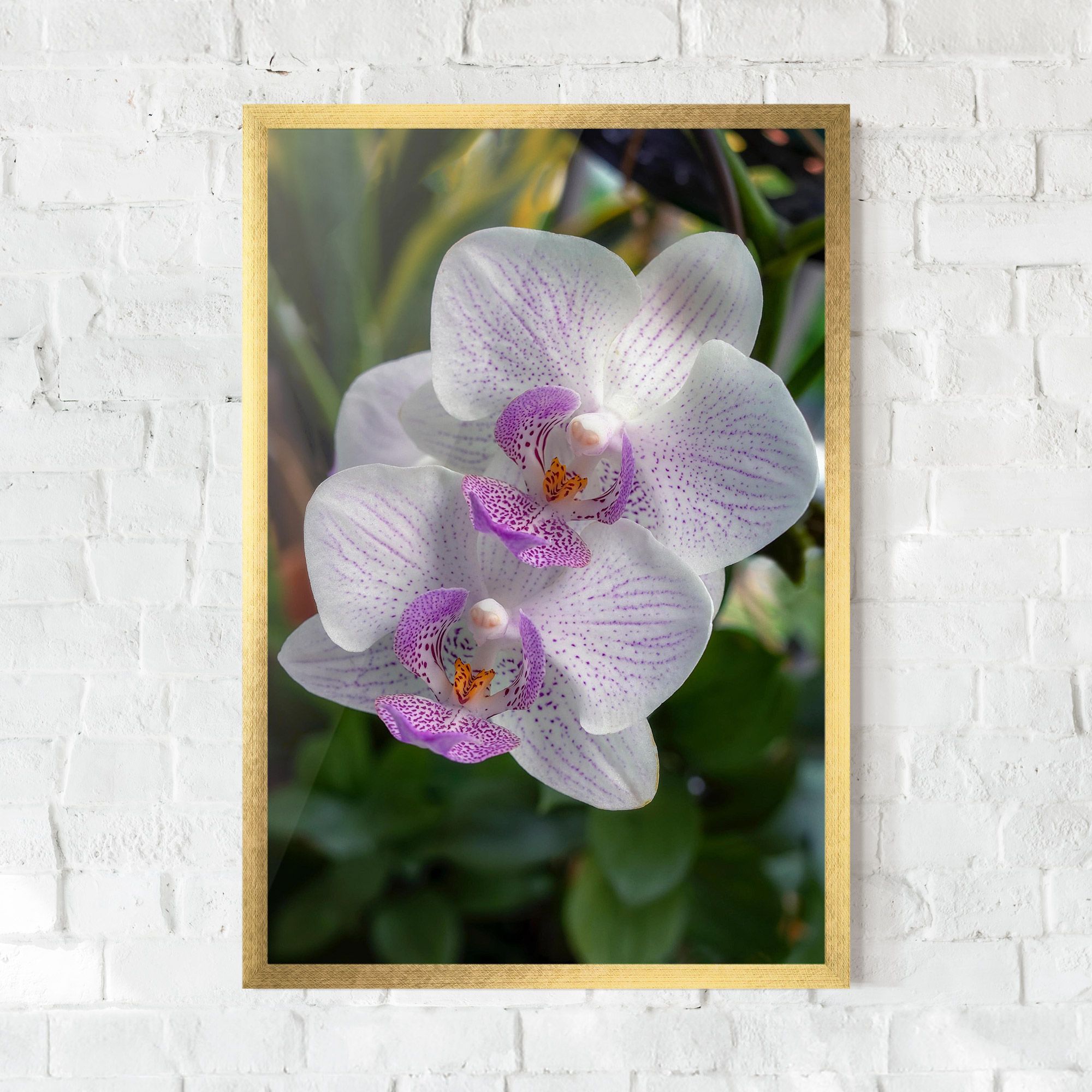 White Orchids mockup 0